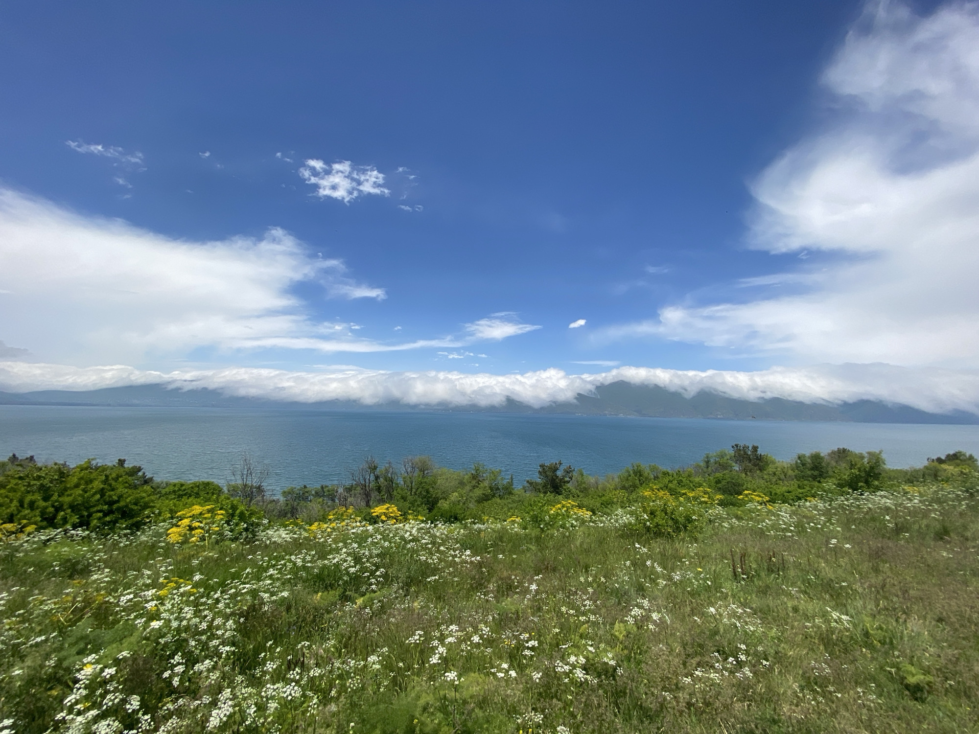 This is a scenic, eye-level, wide shot of the Sevan Lake in Sevan, Armenia on a clear day. The image features a vast expanse of deep blue sky with scattered white, fluffy clouds. The clouds form a thick, layered band across the horizon, obscuring the distant mountains. Below the clouds, a tranquil, blue lake stretches out, reflecting the sky. The foreground is a lush, green meadow dotted with white and yellow wildflowers. The vegetation is dense and appears to be growing on a gentle slope leading down towards the lake. The overall scene evokes a sense of natural beauty and serenity. There are no people or man-made structures visible in the image.