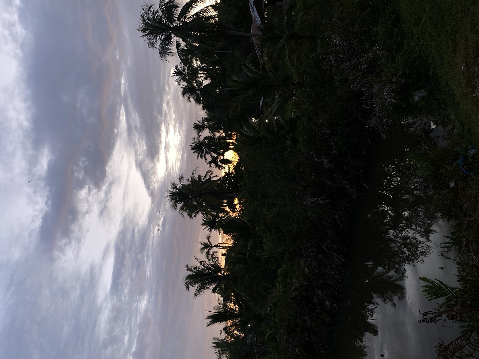 The image shows a landscape at sunset in Tanjongkapai, Indonesia. The sky is filled with streaky clouds. Silhouetted palm trees line the horizon, with the setting sun visible between the trees. Below the trees is thick vegetation. A body of water reflects the sky and trees. The image is rotated 90 degrees clockwise.