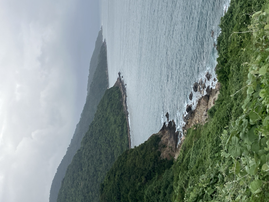 The image displays a coastal landscape in Sơn Trà Ward, Vietnam, under an overcast sky characterized by uniform grey clouds. The foreground consists of dense green foliage, primarily shrubs and vines, leading to a steep, forested hillside. This hillside, densely covered in dark green trees, descends directly to a rocky shoreline where light-colored rocks and pebbles are visible. The dark teal-grey sea exhibits moderate wave activity, with white foam visible as waves break against the shore. The coastline extends into the midground and distance, revealing additional layers of forested hills curving eastward along the water's edge. In the midground, at the base of the nearest prominent hillside, several small, indistinct dark figures are visible on the rocky shore, appearing to be standing. No specific actions or interactions are clearly discernible for these figures due to their small size and distance. The water surface extends to the horizon, where it merges with the hazy, light grey sky.