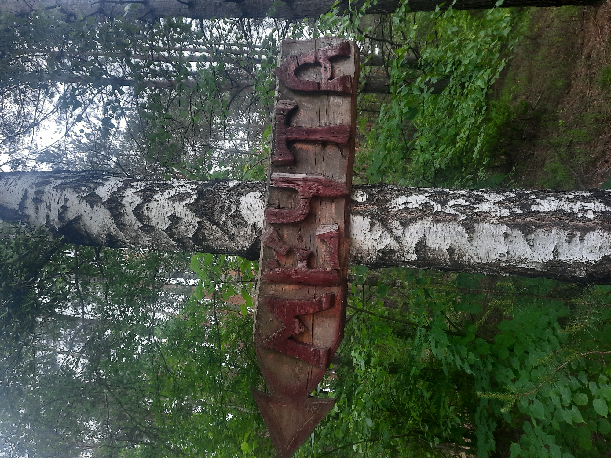 A wooden directional sign with carved red Cyrillic letters is attached to a birch tree in a forest. The sign, shaped like an arrow pointing to the left, reads "МЕЧТА" (Dream). The surrounding environment is a dense forest with lush green foliage and other trees visible in the background. The image appears to be taken in the city of Parechcha, Belarus, based on the provided context. There are no people or animals in the frame.