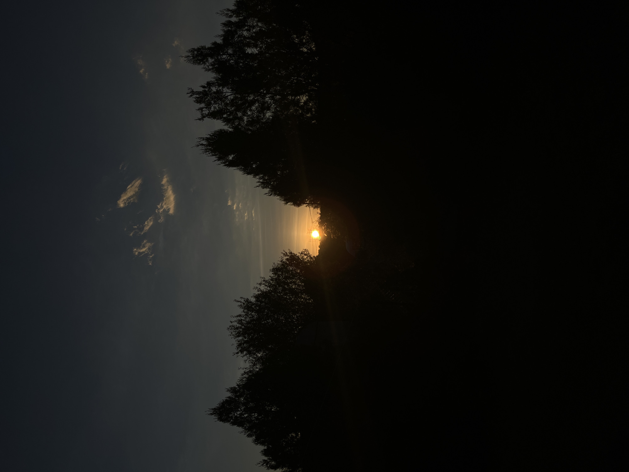 The image depicts a sunset over a rural landscape, likely in or near Dragovishtitsa, Bulgaria. Silhouetted trees, appearing to be coniferous and deciduous varieties, form a dark, dense line across the foreground and midground. The sun, a bright orange orb, is partially obscured by the foliage on the right side of the frame, casting a warm glow and lens flare into the sky. The sky itself transitions from a deep twilight blue at the top to lighter shades of grey and yellow near the horizon. A few wispy clouds, illuminated by the setting sun, are visible in the upper portion of the sky. The overall impression is one of natural beauty and the tranquil end of a day.
