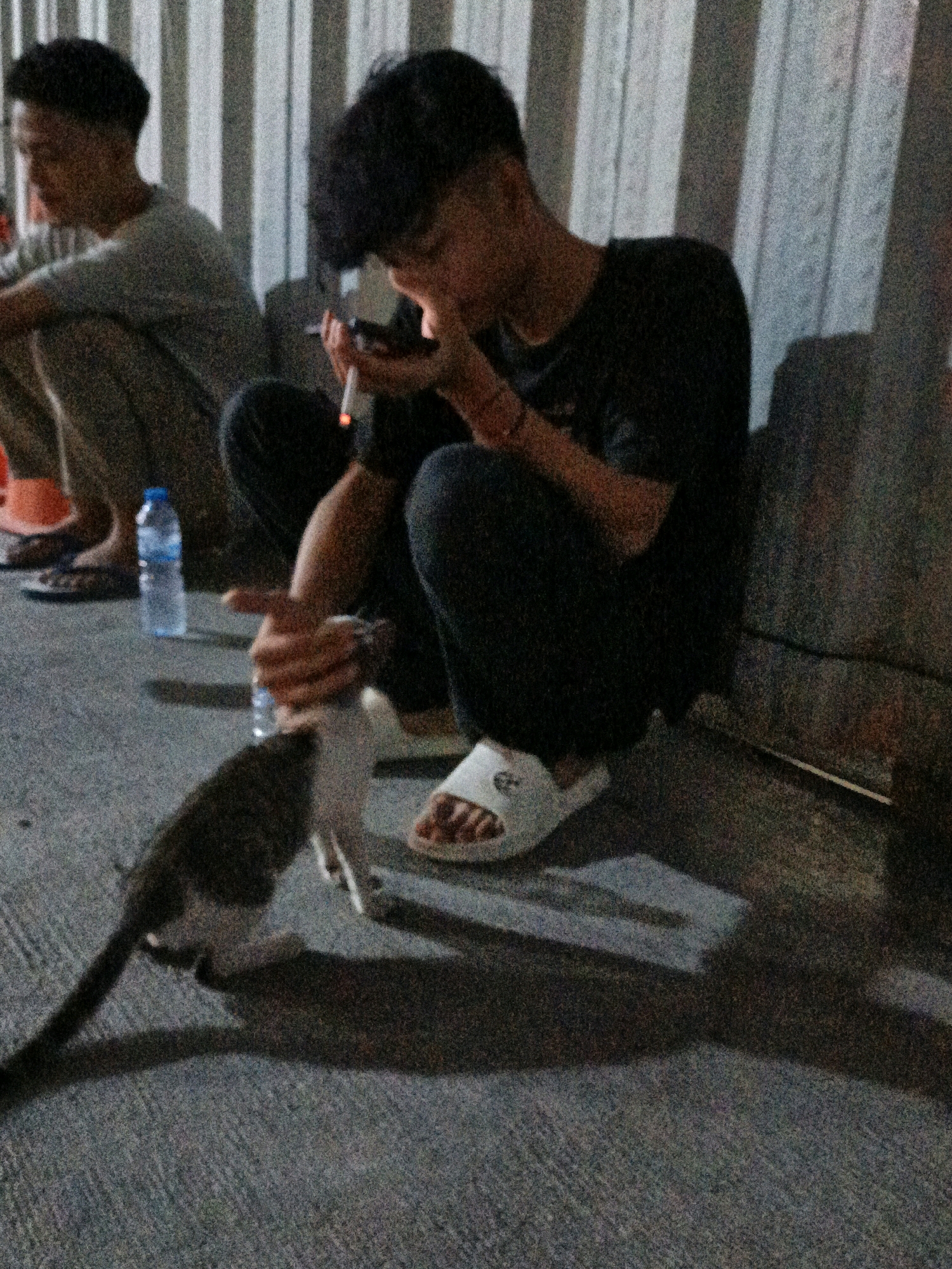Memory