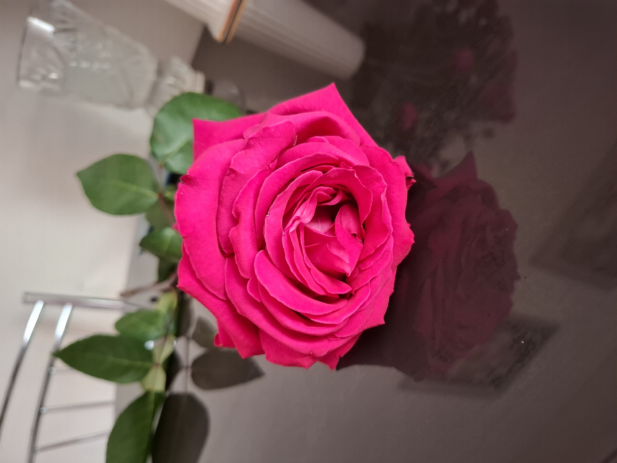 A close-up shot features a vibrant, pink rose in full bloom, lying on a reflective dark surface. The rose exhibits numerous tightly wound petals at its center, gradually opening outwards. Several green leaves are visible attached to the stem, extending towards the left side of the image. The dark surface reflects a somewhat blurred image of the rose. A blurry image of an object is partially shown at the top left side. No other people or objects are visible. The location is unknown.
