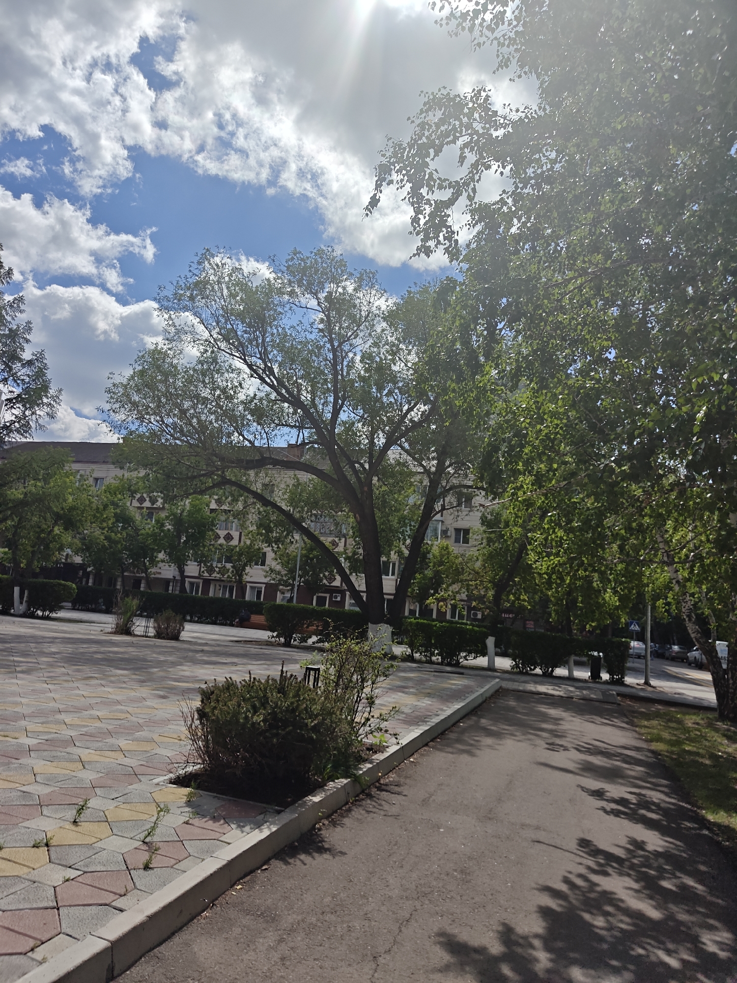 The image depicts a city scene in Petropavl, Kazakhstan, featuring a paved area with geometric patterned tiles in yellow, pink, and gray. A paved pathway with asphalt runs alongside the tiled area. In the background, a multi-story building with a light-colored facade and rows of windows is visible. Several trees with green foliage are scattered throughout the scene, with a large tree with a sprawling canopy dominating the midground. The sky is partly cloudy with bright sunlight filtering through. A low hedge runs along the edge of the tiled area. A few small bushes are planted in a designated area within the tiled section. The overall environment suggests a park or public space within the city.
