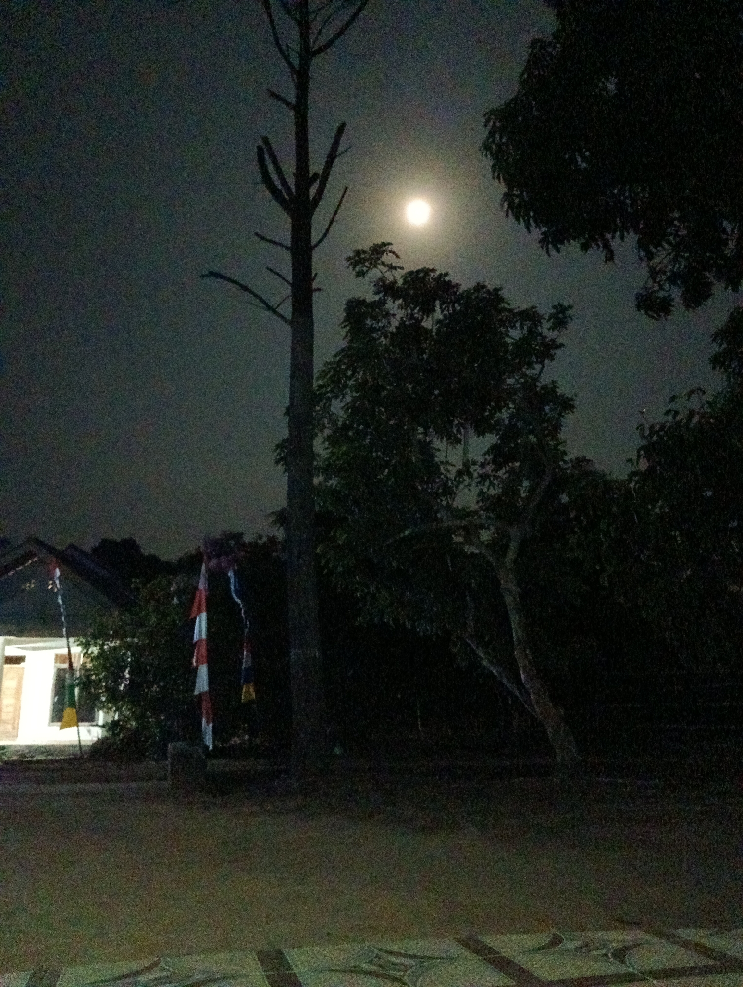 A nighttime image captures a moonlit scene in Pematang Jaya, Indonesia. A bare tree with sparse branches stands prominently in the foreground, silhouetted against a hazy, moonlit sky. To the left, a white building with a light shining from a window is partially visible, with a flagpole displaying red and white Indonesian flags. Dense foliage from trees creates a dark backdrop behind the building and flags. The ground in the foreground appears to be a paved area with a patterned design. The overall atmosphere is dark and tranquil, illuminated by the soft glow of the moon.