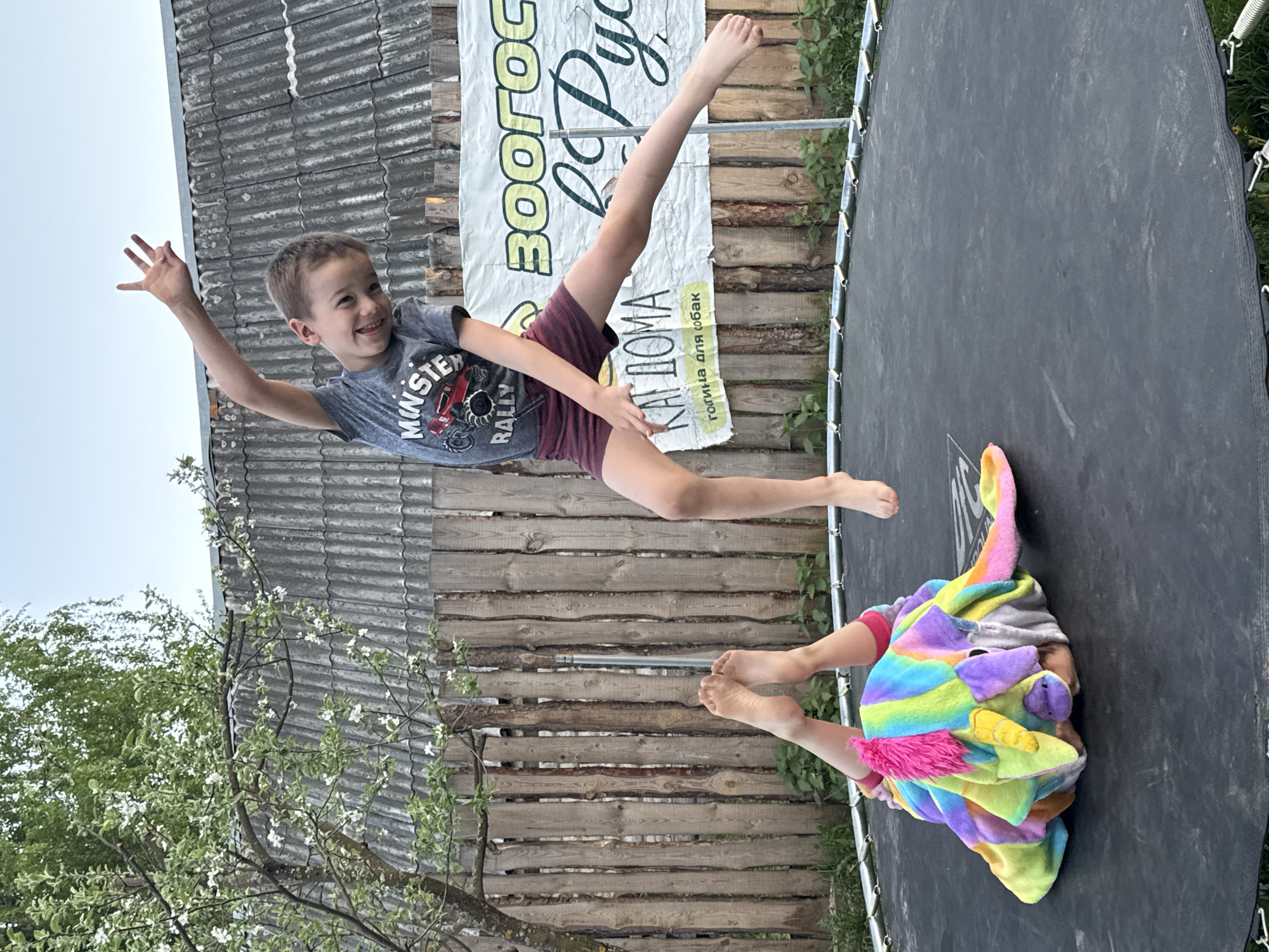 A digitally captured photograph shows two children on a trampoline in what appears to be a backyard. The scene is in the city of Rusalevka, Russia.
The photograph is taken at a slightly oblique angle. One child, a young boy, is mid-air with his left arm extended up and his right arm down. His legs are split in a kind of jump or split. He's wearing a grey t-shirt with an image of a truck and burgundy shorts. The boy is smiling and looking towards the left side of the frame.
The second child is covered in a rainbow-colored plush costume, which is predominately purplish-gray, with pink frills. Only their legs and bare feet are visible protruding from under the costume.
The trampoline is black and circular with metal springs. The background includes a fence made of horizontal wooden planks and a sign in Cyrillic script is affixed to the fence. A tree with white blossoms is in the lower left corner of the image. The sky is visible at the upper left and appears pale.
The scene is outdoors. The lighting suggests a daytime shot, and the environment hints at a suburban or rural setting.