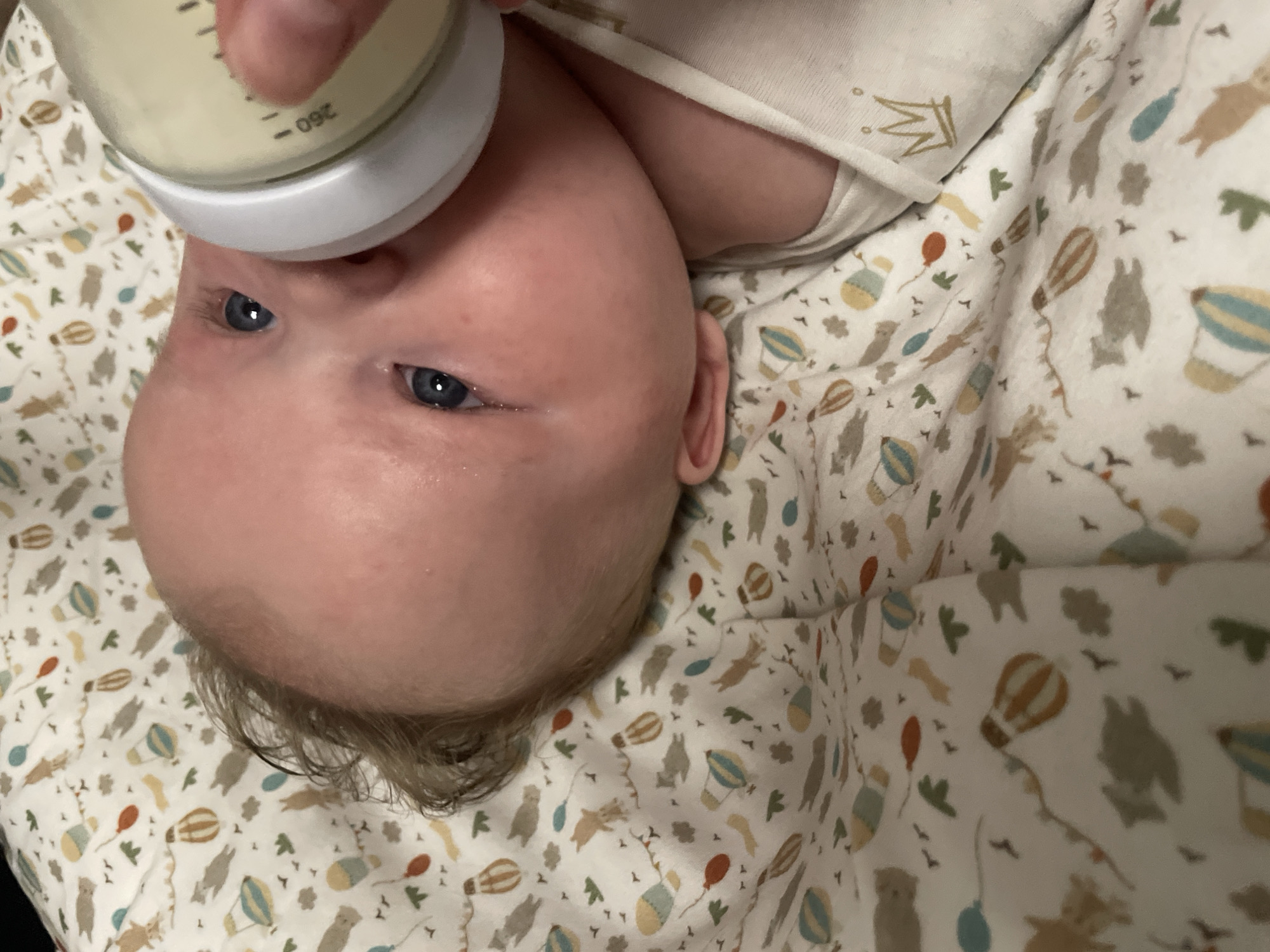 A close-up, over-the-shoulder shot shows a baby's head with blue eyes as it drinks from a baby bottle held by an adult hand. The baby is lying on a white blanket patterned with hot air balloons and animal silhouettes. The baby's skin is flushed pink, and its hair is light brown and sparse. The bottle has measurement markings in black, indicating "260". The scene is lit by artificial light. This image does not depict a location in Stavropol, Russia.