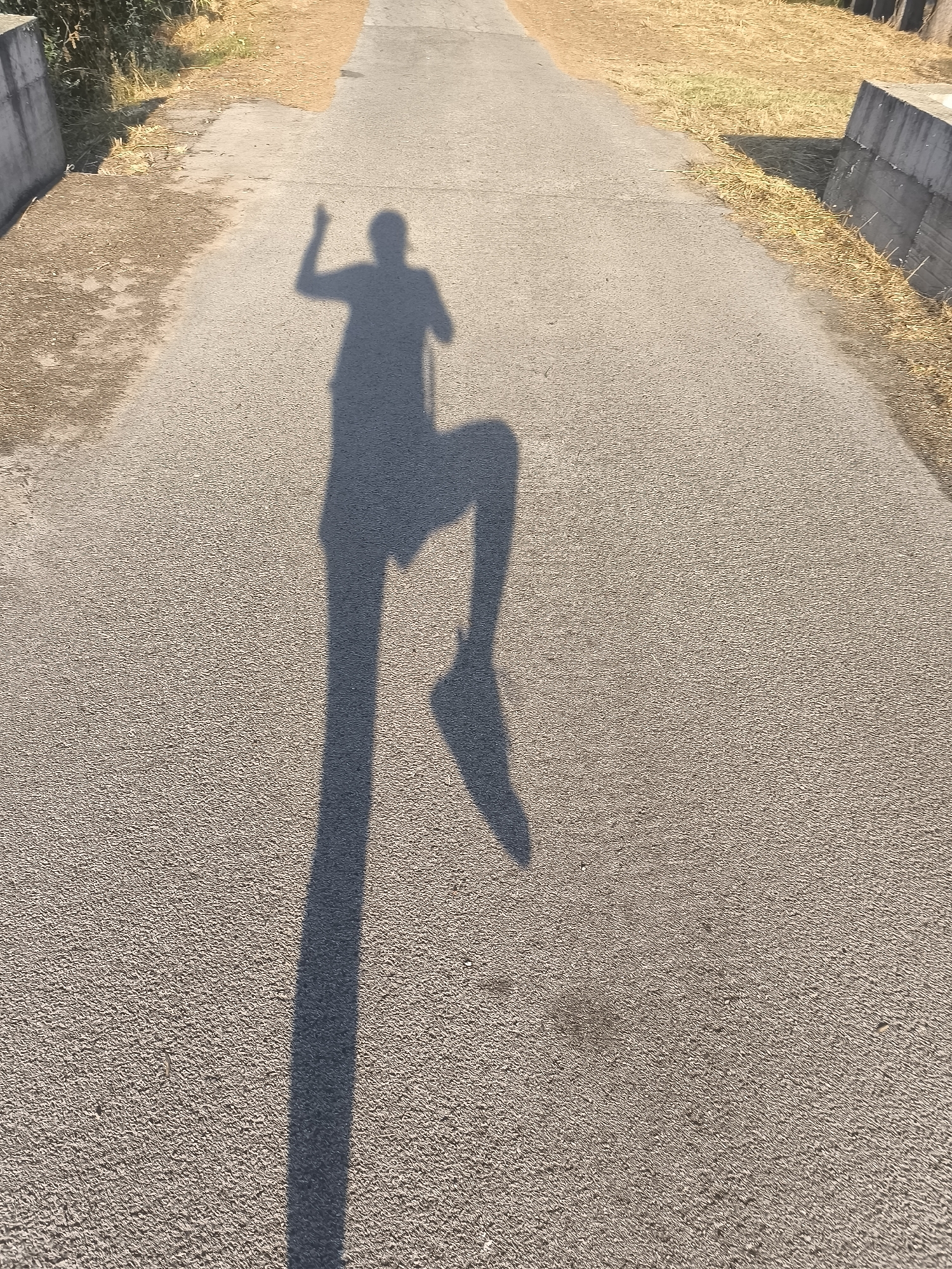 A long shadow of a person is cast on an asphalt road. The person appears to be mid-stride, with one leg raised and bent at the knee, and their arms raised, suggesting they are running or jumping. The shadow is elongated and distorted due to the angle of the sun. The road surface is textured and gray, with dry, yellowed grass and some vegetation visible on either side, bordered by concrete structures. This appears to be an outdoor scene, possibly a park or a path in a rural or semi-urban area of Setúbal, Portugal.