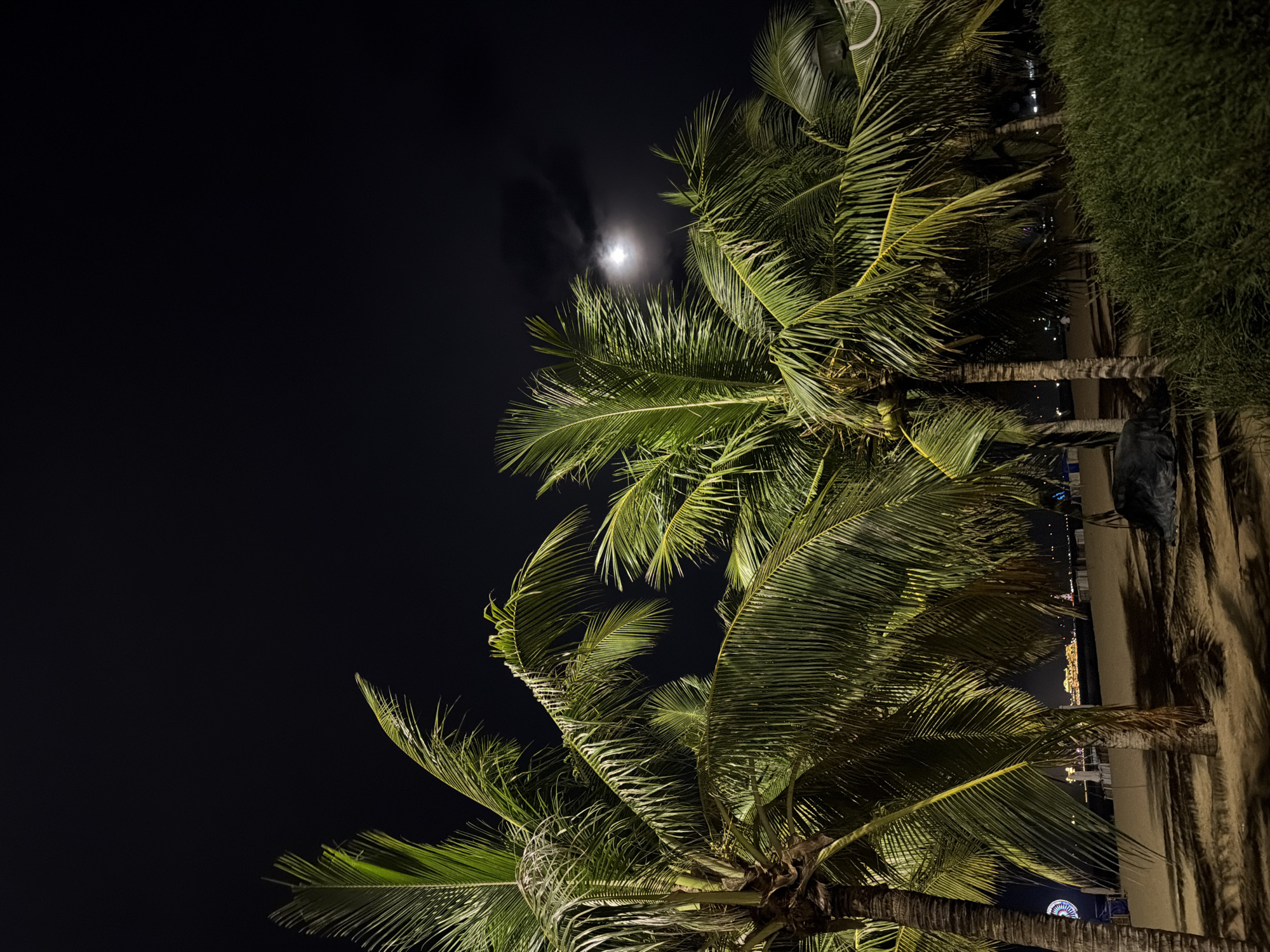The image depicts a nighttime scene in Nha Trang Ward, Vietnam. Several palm trees are prominently featured, illuminated by an unseen light source. In the upper portion of the image, a full moon is visible, partially obscured by clouds. In the distance, lights suggest a populated area along the shoreline. A dark object is noticeable near one of the palm trees, but it's shape is not discernible. The sand of the beach is visible between the palm trees and the distant lights. The image is oriented at an angle, with the right side appearing lower than the left.