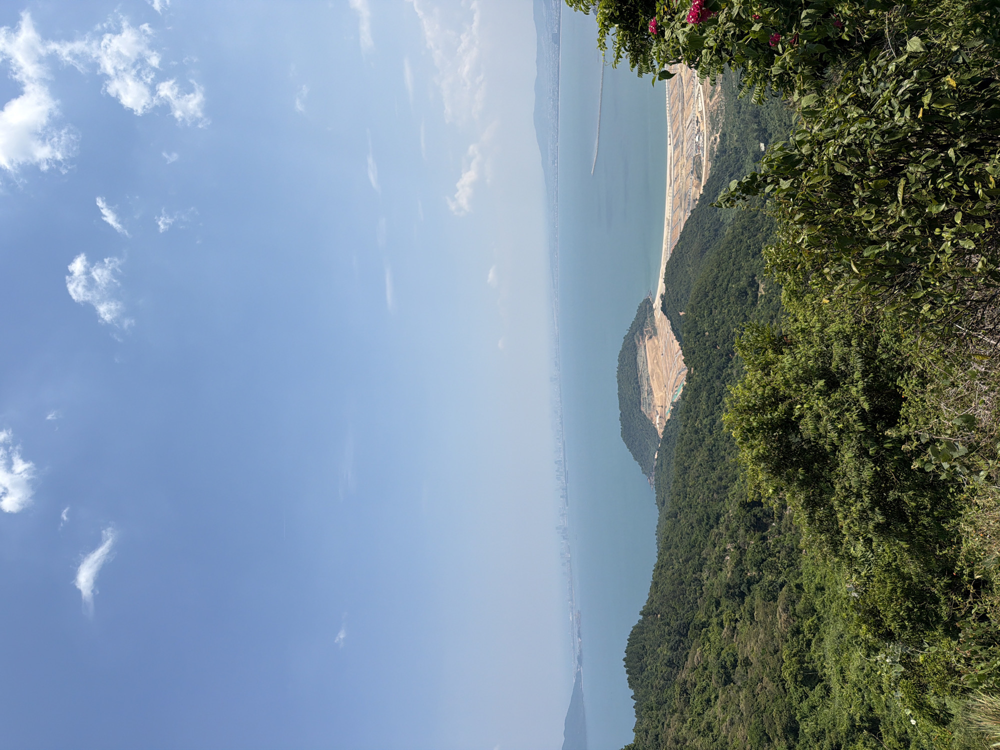 This is a high-angle, eye-level shot of a coastal landscape in Đà Nẵng, Vietnam, likely taken from Sơn Trà Mountain. The foreground is dominated by lush green vegetation and trees, with some flowering bushes visible on the right. The midground shows a section of the coastline with a large area of land undergoing development, characterized by cleared earth and construction infrastructure, bordering a calm, blue body of water. In the distance, a hazy cityscape stretches along the coast, suggesting a densely populated urban area. The background features a vast expanse of blue sky with scattered white clouds. The overall scene depicts a transition between natural coastal terrain and urban development.