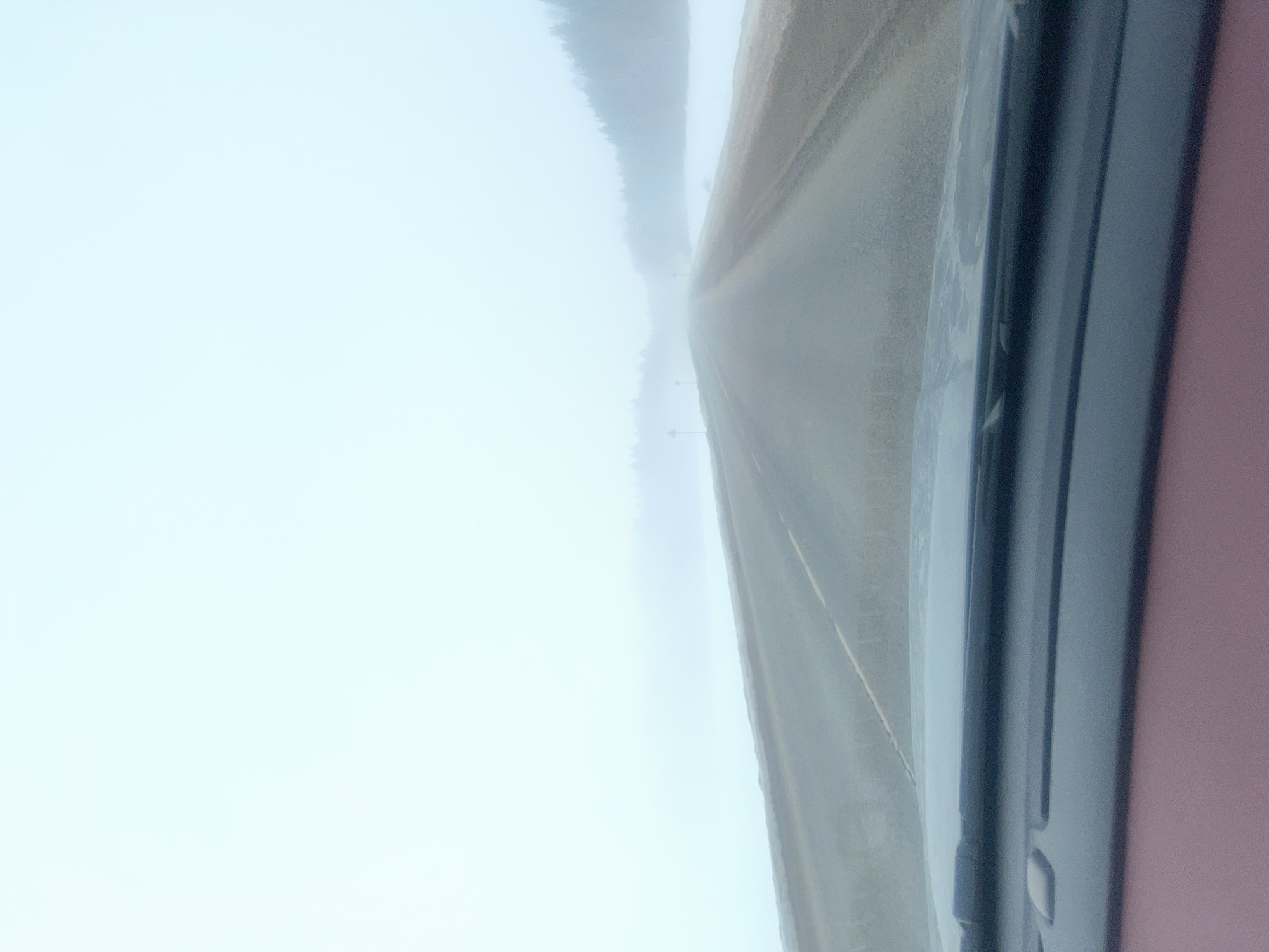 The image depicts a two-lane asphalt road in Laiga, Russia, extending into dense fog. The perspective is from inside a vehicle, showing the dashboard, windshield wipers, and a reddish-brown interior surface at the bottom of the frame. The road surface appears damp, with faint lane markings visible as it recedes into the low visibility. Snow-covered ground borders both sides of the road. A dense formation of coniferous trees is partially visible through the fog on the right side. Two dark, vertical pole-like objects, consistent with road markers or signs, are discernible on the left side of the road in the mid-distance. The sky is completely obscured by fog, appearing uniformly light grey. No individuals are visible. The scene suggests vehicular movement under winter conditions with severely reduced visibility.