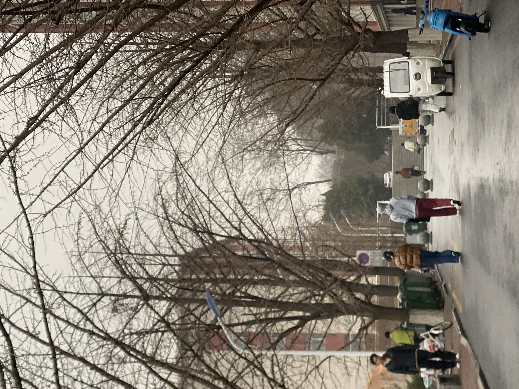 The image depicts a street scene in Zhongtun, China. The weather appears overcast or rainy, with the road surface wet and reflective. The foreground is dominated by bare tree branches without leaves, obscuring some of the background.
Several people are present on the street, walking along the right side of the road. One individual is wearing a light grey hoodie and maroon pants. Another person is wearing a brown jacket and blue jeans. Further down the street, there are other pedestrians.
Vehicles are also visible, including a white three-wheeled vehicle and a blue scooter parked on the side of the road. There are also green trash bins lining the street. Streetlights are also visible. The buildings are brick structures and a sign is visible in the background.
