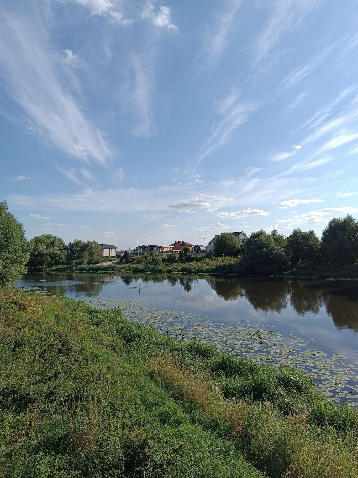 The image depicts a serene natural landscape with a body of water, lush green vegetation, and a clear blue sky dotted with wispy clouds. The water reflects the surrounding trees and buildings. In the distance, several houses with red and beige roofs are visible along the treeline. The foreground features a grassy embankment with various plants, including some yellow flowers. The scene appears to be a park or a natural area within the city of Zhukovsky, Russia, likely along the Bykovka River, a prominent feature of the city's landscape. The overall impression is one of tranquility and natural beauty.