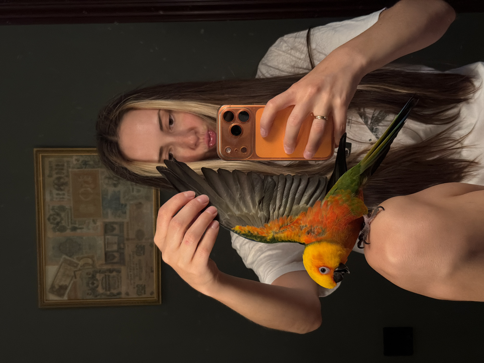 The image is a vertically oriented, slightly distorted selfie taken in a dimly lit room, likely indoors. The main subject is a young woman with long, dark hair with blonde highlights. She is holding an orange smartphone in her right hand, with which she is taking the picture, and it is positioned in front of her face. Her left hand is holding a small, brightly colored bird, which appears to be a Sun Conure due to its vibrant yellow and orange plumage. The bird is perched on her arm, with one wing extended.
The woman is wearing a white t-shirt. She is looking into the phone's camera with a playful expression, her lips pursed. A thin gold ring is visible on her right ring finger. In the background, reflected in a mirror, is a framed piece of art on a dark wall. The artwork appears to be a collage of old documents, possibly stamps or currency, in shades of brown and blue. The room's atmosphere seems casual and personal. The lighting suggests it could be evening or a room with limited natural light. There is no visible text in the image other than what might be on the collage in the background, which is not legible.