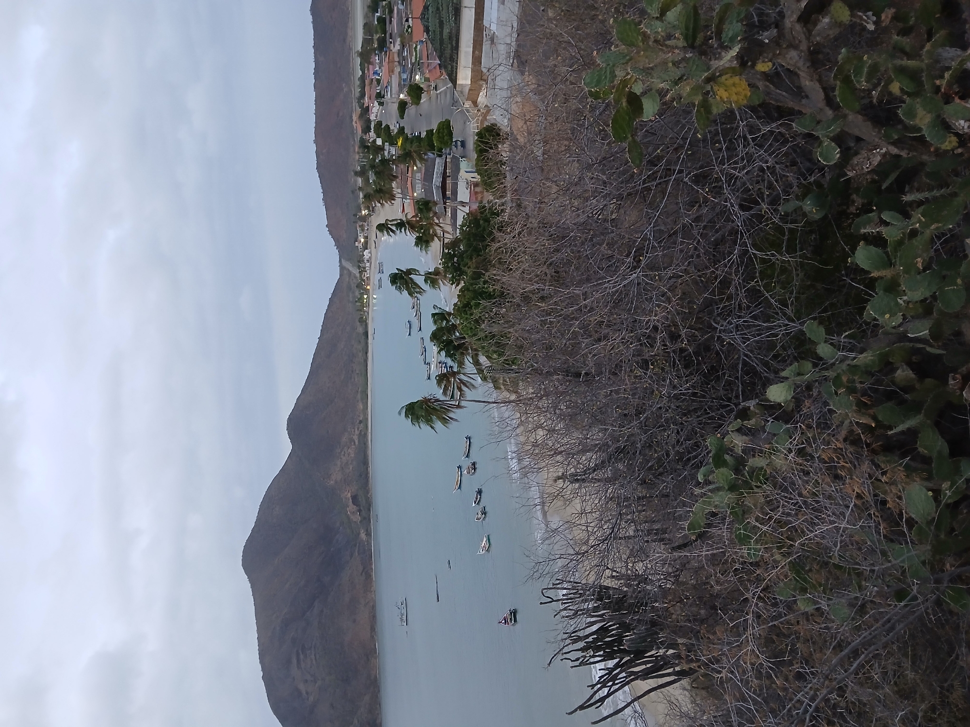 This is an outdoor shot of Juan Griego, Venezuela from a high vantage point. It shows a bay with numerous boats, a sandy beach, palm trees, and a cluster of buildings at the edge of the beach that comprise the town. Mountains flank the bay. In the foreground, there is vegetation, including cacti and dry bushes. The sky is overcast.