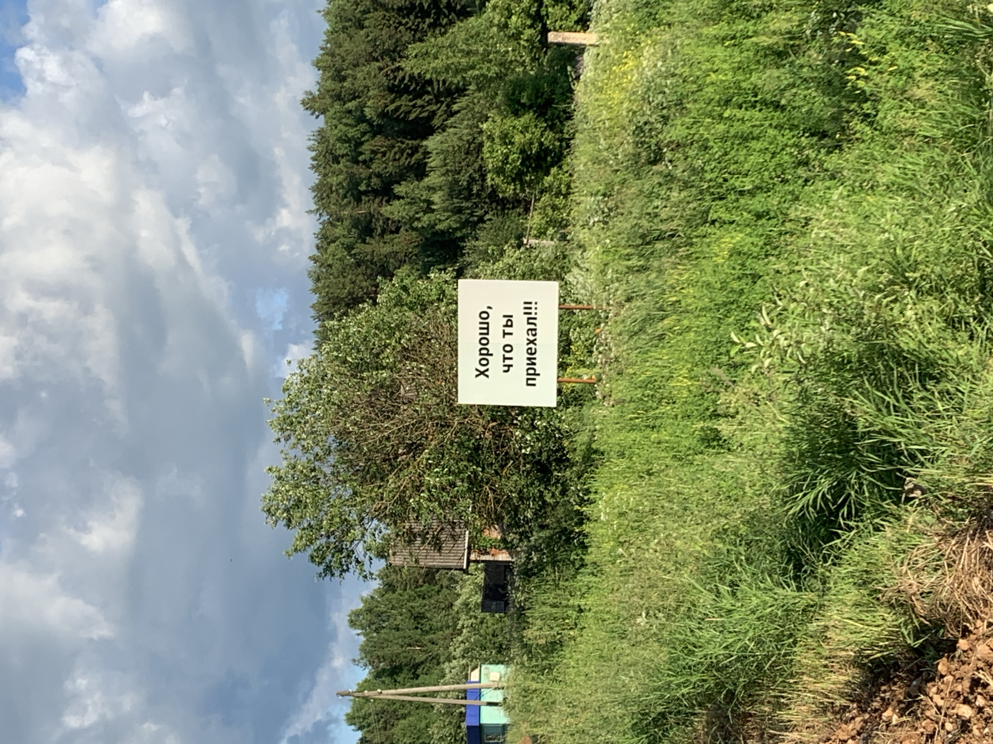 A white sign with black text is situated in a field of tall green grass and wildflowers. The sign reads "Хорошо, что ты приехал!!!" which translates to "It's good that you've arrived!!!". In the background, a dense forest of pine and deciduous trees forms the horizon. To the left of the sign, a small, weathered wooden structure with a blue roof is partially visible, along with a utility pole. The sky above is dramatic, with a mix of dark, heavy clouds and patches of bright blue. The overall scene suggests a rural or semi-rural setting, possibly an entrance to a village or a remote property, given the presence of the sign and the rustic buildings. The location is identified as Svetitsa, Russia.