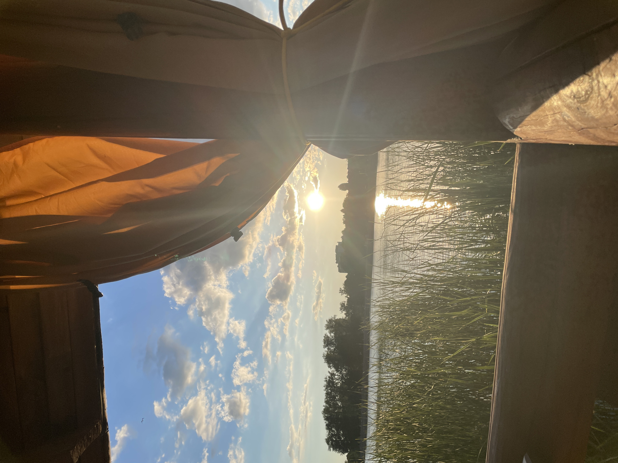 This image, taken in the city of Brest, Belarus, captures a scenic outdoor view from within a wooden structure, likely a gazebo or open-air seating area, at sunset or sunrise. The perspective is framed by dark wooden elements: a horizontal beam along the top, a horizontal railing at the bottom, and a prominent vertical post on the right. An orange fabric curtain, secured by a yellow cord, is tied back against the right-side post, its folds illuminated by direct sunlight.
The main subject is a large body of calm water, possibly a river or lake, that occupies the mid-ground. The sun, a brilliant white-yellow disc, is low on the horizon, positioned in the right-center of the frame, casting a strong lens flare and creating a prominent vertical reflection streak on the water's surface.
In the immediate foreground, a dense patch of tall, green, reed-like aquatic vegetation grows, partially obscuring the near edge of the water. On the far bank of the water, a line of dark green trees is visible. Beyond the trees, a faint, multi-story building with a flat roof is discernible against the sky, indicating a distant urban or suburban landscape.
The sky above features a bright blue expanse with scattered white cumulus clouds. Two small, dark bird silhouettes are visible in the upper left portion of the sky. The overall lighting is warm and golden, characteristic of a low sun angle. No people are depicted in the scene, and no specific actions or interactions are taking place.