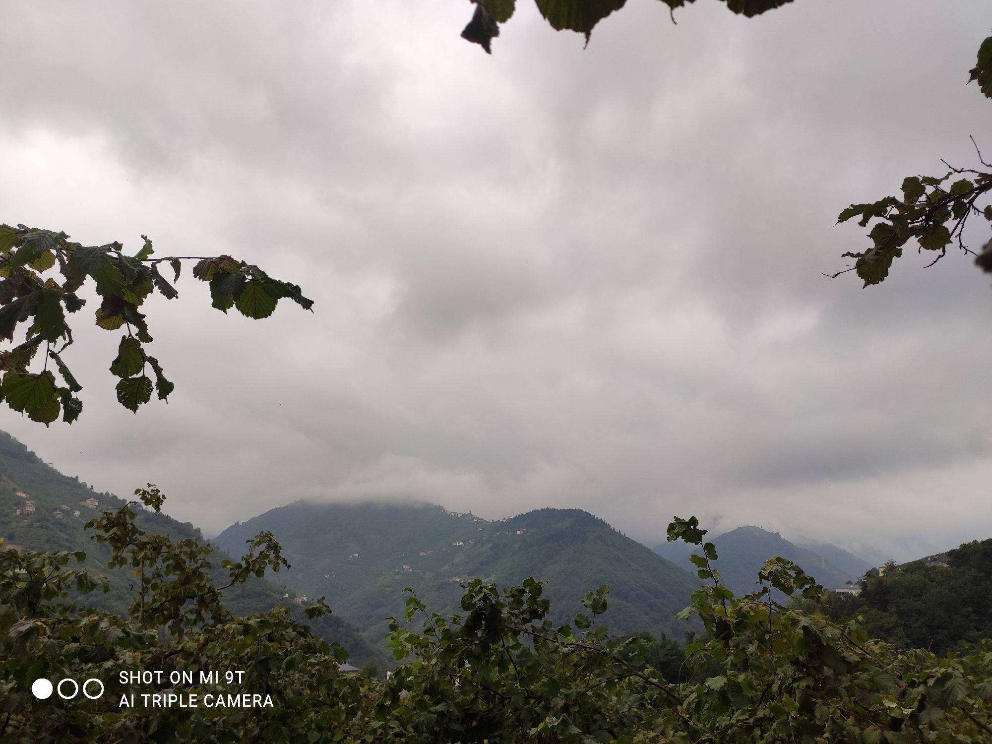 This is a horizontal, medium-shot photograph of a mountainous, forested landscape under a cloudy, overcast sky. In the foreground, out-of-focus green foliage from trees obscures the bottom and edges of the image. The middle ground features a range of steep, green hills dotted with small white buildings, indicating a settlement. The furthest mountains are shrouded in mist and clouds. The sky is a uniform, light gray, with no visible sun. In the lower-left corner of the image, there is a watermark that reads "SHOT ON MI 9T AI TRIPLE CAMERA". The scene is one of natural, rural beauty, likely captured in the Akçaabat region of Turkey, known for its lush mountain scenery and coastal proximity.