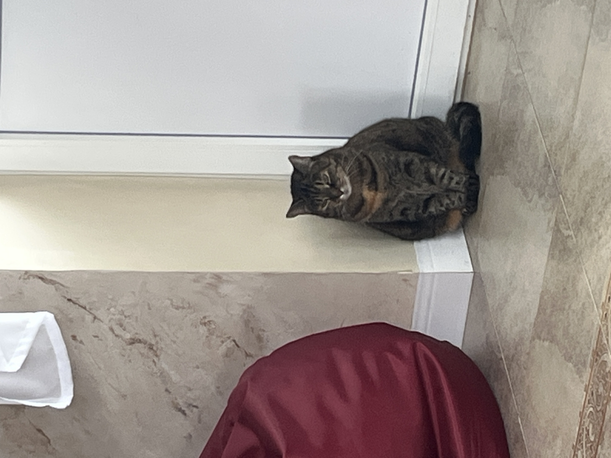 A tabby cat with green eyes sits on a tiled floor next to a white door. The cat is facing forward and appears to be looking at the camera. A large red beanbag chair is visible to the left of the cat. The walls are painted a light yellow and beige, and there is a white baseboard along the bottom of the walls. The floor is tiled with a beige and brown pattern. The scene appears to be indoors, possibly in a home or a public building. There is no discernible information to suggest this location is in the city of Vladimirovka, Russia.