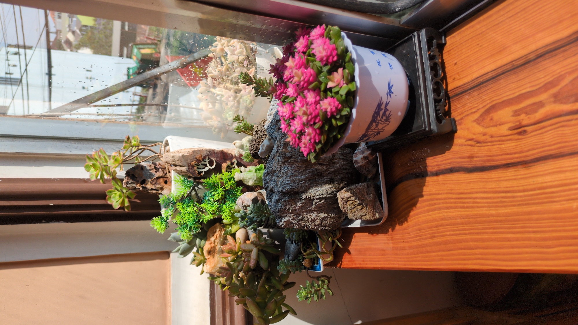 A horizontal shot shows a windowsill scene of potted plants. The window itself reflects what appears to be an urban street with buildings. On the sill are several planters and arrangements, one containing bright pink flowers in a white-and-blue ceramic pot. There are also various succulents, rocks, and driftwood incorporated into the arrangements. The windowsill is made of wood with a clear grain pattern. Based on the information, and the location, the city is Da Lat, Vietnam.