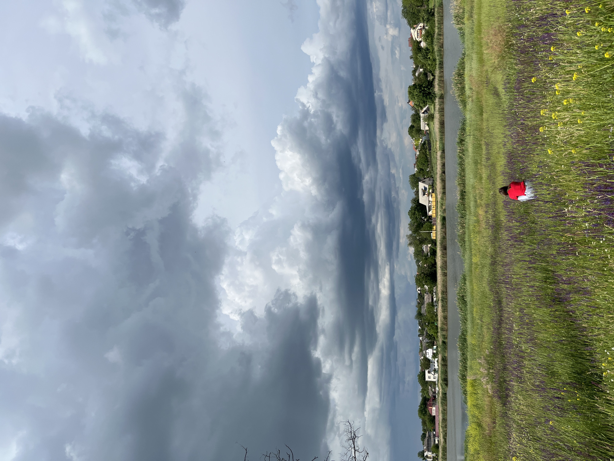 An over-the-shoulder shot captures a person in a red shirt and blue jeans crouching in a field of tall green grass interspersed with purple and yellow wildflowers. The person is facing away from the camera towards a body of water that separates them from a line of houses with red and white roofs, nestled amongst green trees. The sky above is dramatic, with dark, heavy storm clouds dominating the upper portion of the frame, contrasting with scattered patches of brighter sky. The scene appears to be on the outskirts of the city of Shyroka Dacha, Ukraine.