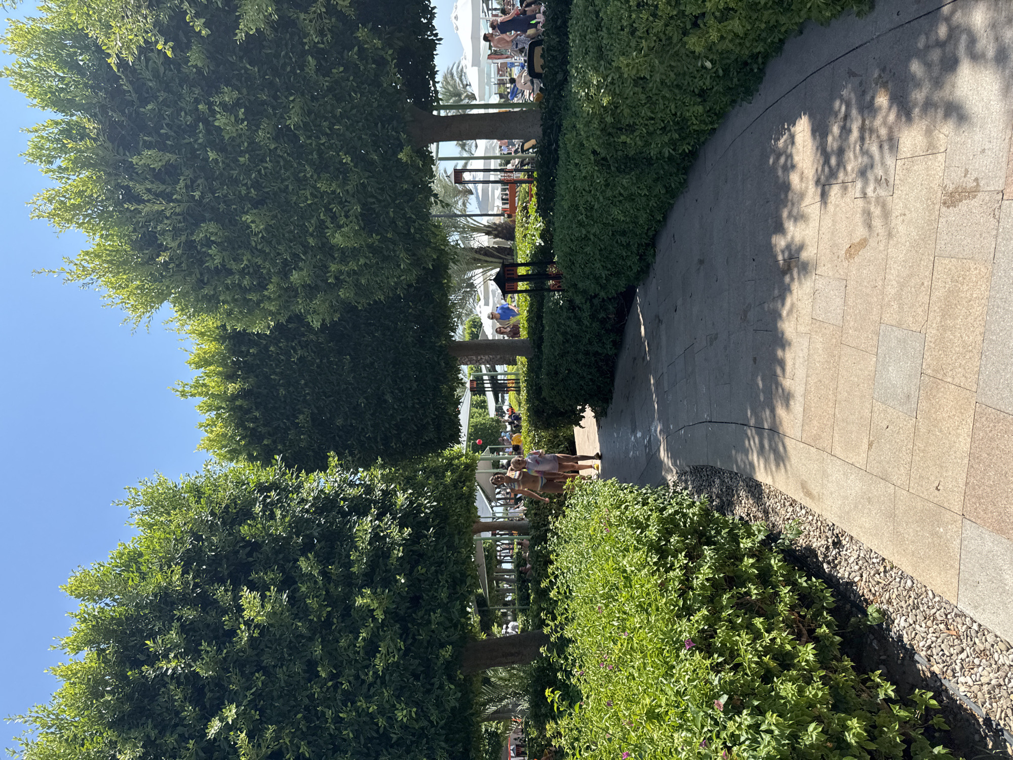 The image depicts a sunny outdoor scene at a resort, likely in Aksu, Turkey, with a focus on manicured landscaping. A paved walkway curves through the foreground, bordered on the left by a dense, green hedge with small pink flowers, and on the right by more manicured shrubs. Two people, a woman in a bikini and a young girl in a swimsuit, are walking away from the camera on the path. In the background, several large, round-canopied trees provide shade, with glimpses of lounge chairs, umbrellas, and other resort amenities beyond. The sky is a clear, bright blue.