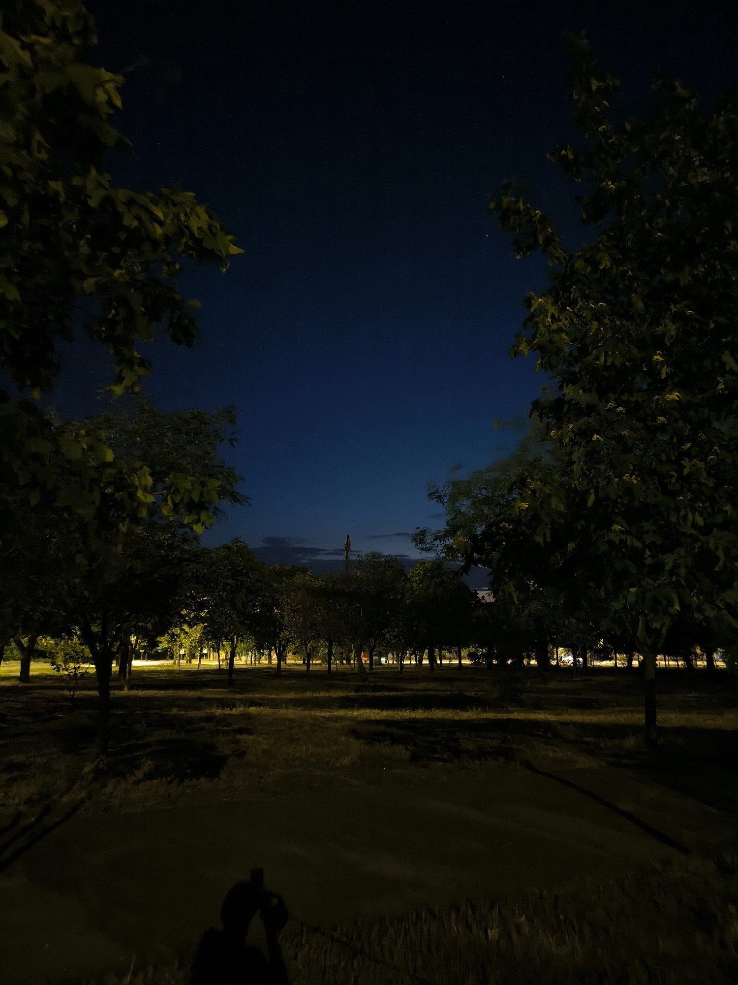 The image depicts a dimly lit park scene at night. In the foreground, a silhouette of a person holding a phone is visible, seemingly taking a photograph. The middle ground is dominated by a row of trees lining a pathway, illuminated by distant artificial lights that cast long shadows across the grassy ground. The background shows more trees and a dark blue night sky with a few visible stars. The overall atmosphere is serene and quiet. The image does not contain any specific indicators of its location within Mykolaiv, Ukraine.