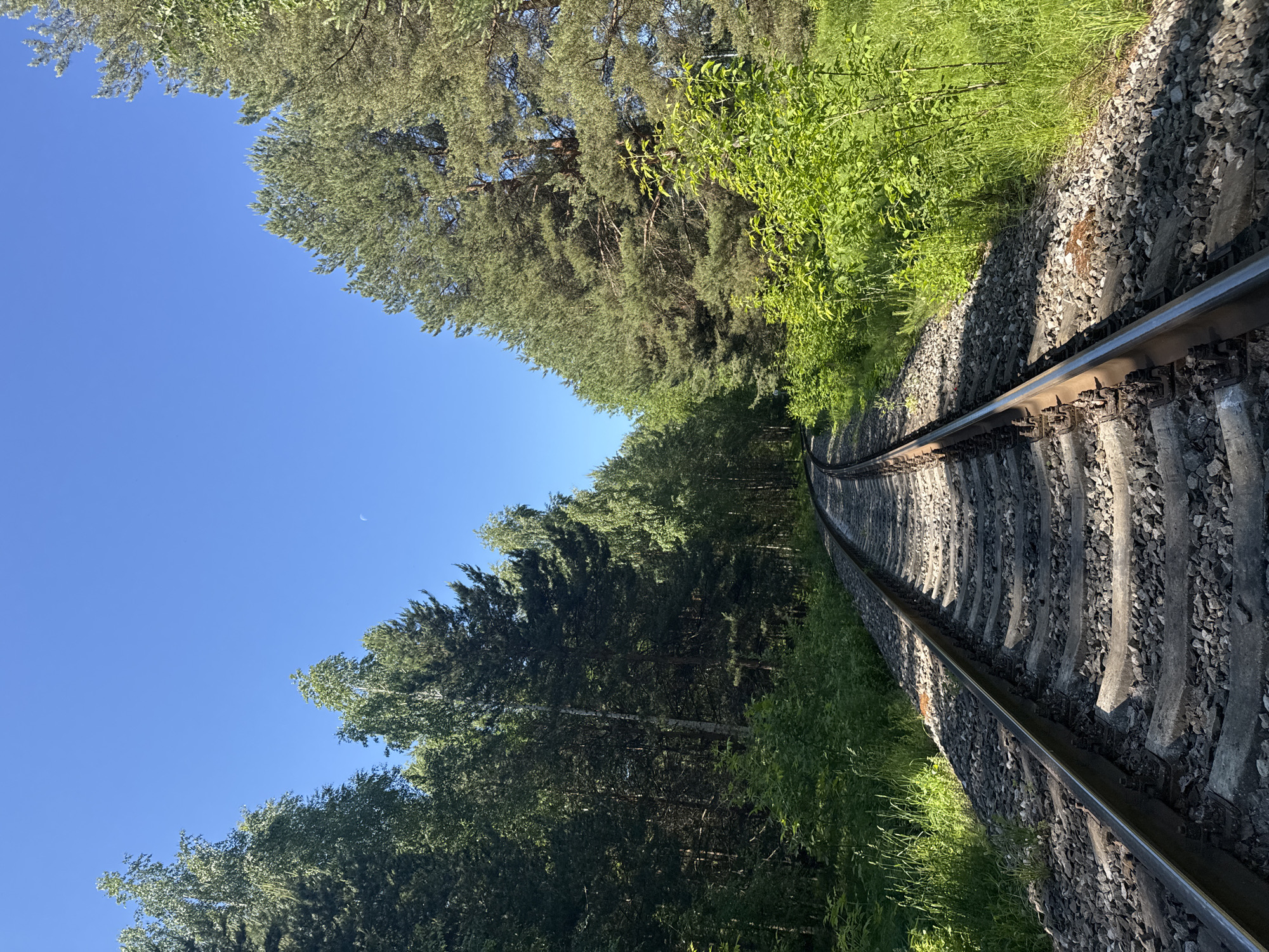 A low-angle, vertical shot shows a railway track curving into a dense forest under a clear blue sky. The track is made of dark metal rails and gray ballast. Lush green trees, including tall pines and leafy deciduous trees, line both sides of the track, creating a tunnel-like effect. Sunlight illuminates the scene, casting shadows on the ballast and highlighting the vibrant green foliage. A faint crescent moon is visible in the upper right quadrant of the sky. The image depicts a natural landscape, suggesting a location outside of a dense urban area, possibly on the outskirts of Chaikovsky, Russia, where railway lines often pass through wooded areas.