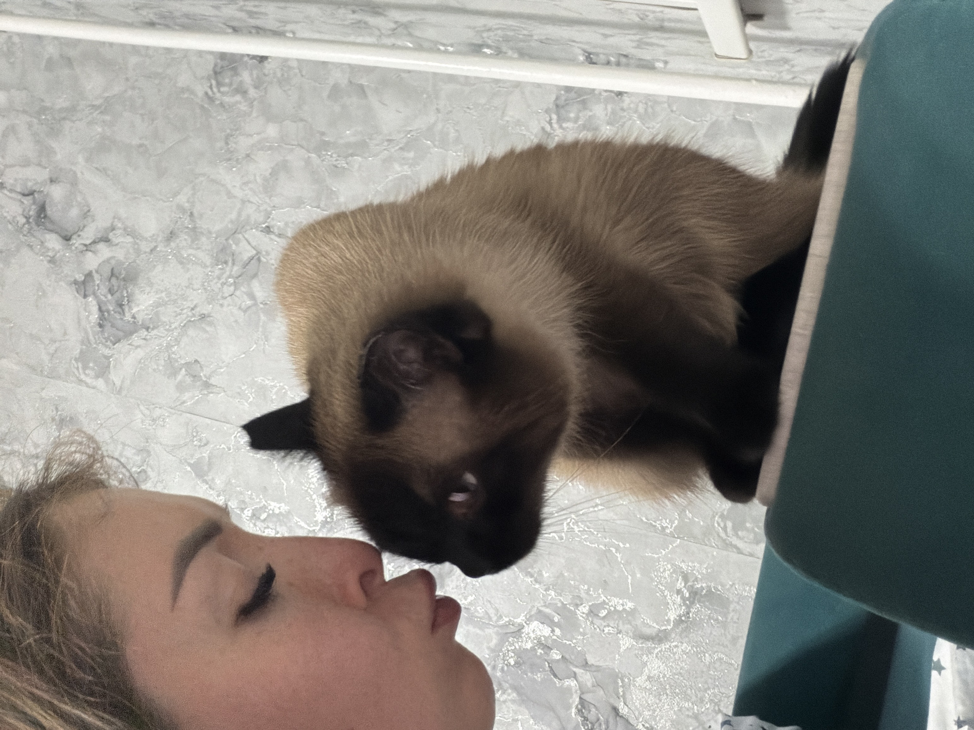 A close-up, high-angle shot captures a tender moment between a person and a Siamese cat. The person's face, seen from the side, is angled towards the cat, with their lips slightly parted as if about to kiss or speak. Their hair is light brown and appears slightly disheveled. The Siamese cat, with its characteristic dark points on its face and ears, is partially emerging from a teal-colored object, possibly a pet bed or a piece of furniture. The cat's eyes are open, and its gaze is directed towards the person. The background features a light-colored, marble-patterned surface, likely a floor, and the edge of a white piece of furniture. The lighting suggests an indoor setting. The overall mood is one of affection and connection between the human and the animal. No visible text is present in the image. The location is identified as Yaprykovo, Russia.