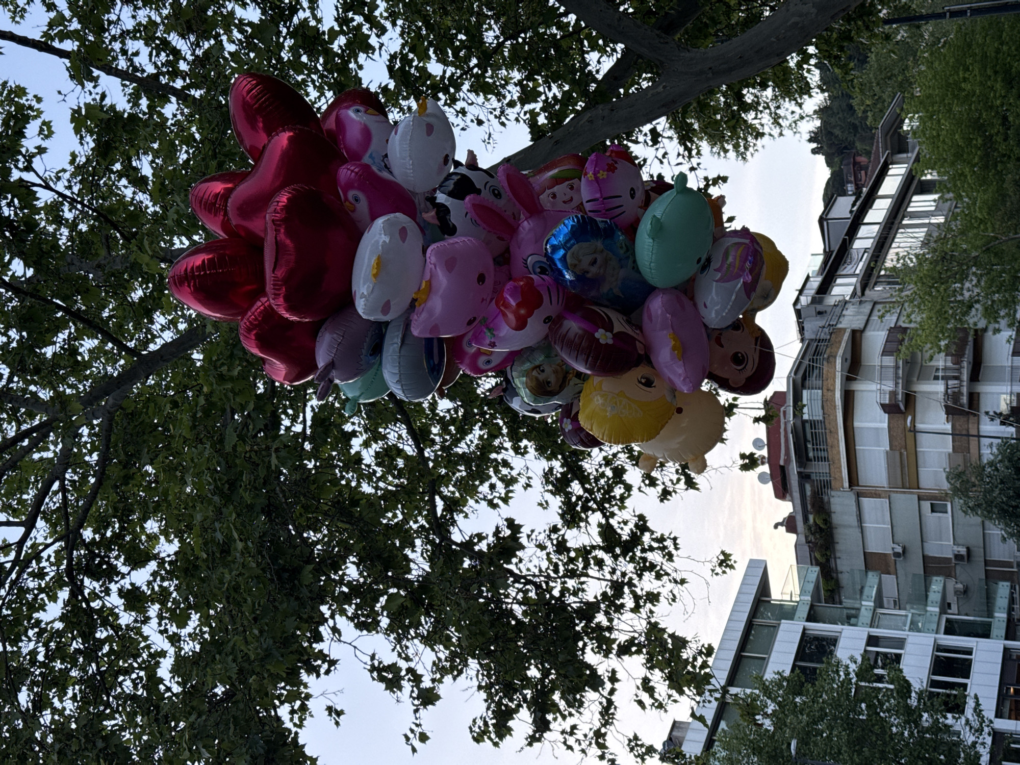 The image shows a collection of balloons tied together and floating against a backdrop of tree branches and city buildings. The balloons are a mix of red heart-shaped foil balloons and character balloons featuring images like penguins, cows, bunnies, Hello Kitty, Disney characters (including Elsa), and princesses.
The location is indicated as the city of Beşiktaş, Turkey, and the architecture visible suggests an urban environment.