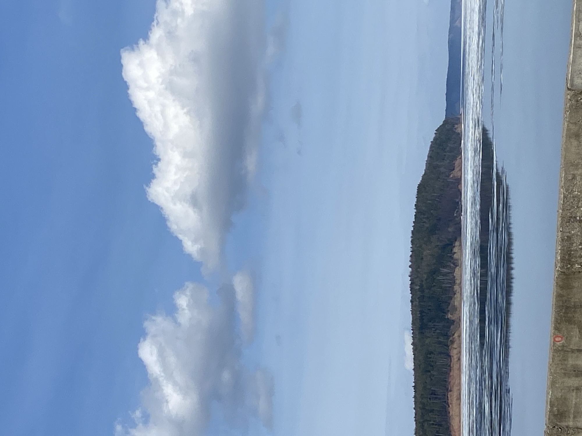 A landscape photograph depicts a body of water, possibly a river or lake, with a forested shoreline in the distance. The water reflects the sky and shoreline, creating a mirrored effect. A large, white, cumulus cloud dominates the upper left portion of the frame. The sky is blue and mostly clear. The shoreline appears to be heavily wooded with coniferous trees. In the lower right corner, a gray concrete structure, possibly a pier or embankment, is partially visible, with a small red circular mark on its surface. The location is likely near the city of Chaikovsky, Russia, based on the query context. The image lacks people or any immediate actions.