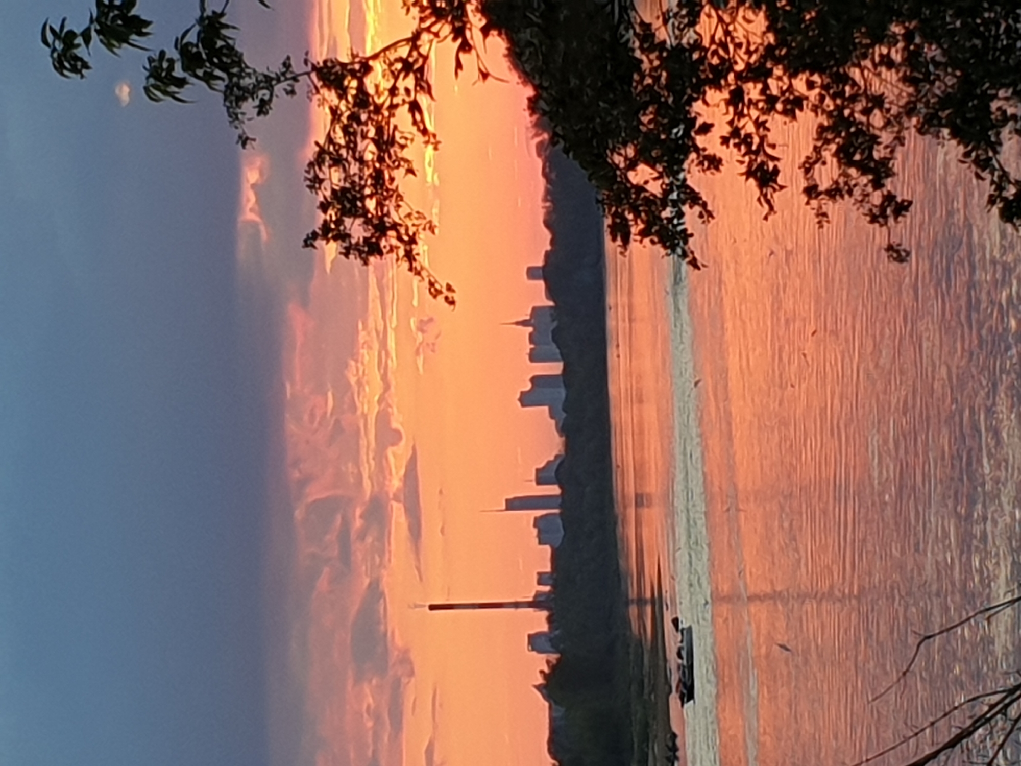 The image displays a panoramic landscape captured during either sunrise or sunset over a body of water and a distant city skyline in Unknown, Unknown. The sky transitions from a dark blue-grey at the top to vibrant orange, yellow, and pink hues nearer the horizon, with scattered clouds reflecting these intense colors. A distant city skyline is silhouetted against the brightly lit sky, featuring a prominent, tall, slender industrial chimney on the left, and multiple high-rise buildings, some with distinct pointed or spired architectural elements. These structures are situated behind a dark, dense line of trees along the far bank of a wide river that occupies the midground. The river's surface strongly reflects the sky's vivid colors, appearing as a expanse of orange, pink, and light blue with visible ripples. A small boat, possibly a motorboat, is present on the river in the left-midground, creating a discernible wake. Numerous small, dark specks, consistent with birds, are scattered across the water, particularly in the left half of the frame. Dark, silhouetted tree branches and foliage frame the right side of the image, extending from top to bottom, with additional sparse branches visible in the bottom-left corner, indicating an immediate foreground perspective. The scene is characterized by strong backlighting from a low sun, accentuating the silhouettes of the foreground trees and distant city structures.