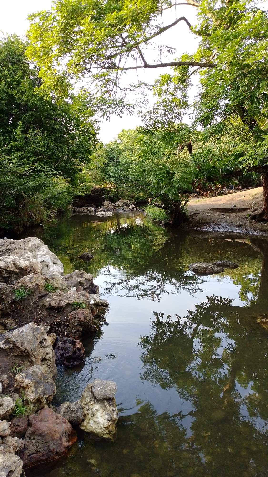 The image depicts a calm, reflective body of water surrounded by lush, green trees. Large, rough-hewn rocks line the near bank of the water, adding a textural contrast to the smooth surface of the water. The water reflects the trees above, creating a mirrored effect. The location is Tinaquillo, Venezuela, based on the image location data. The scene is peaceful and natural, with no visible people or signs of significant human activity. The image focuses on the tranquility and beauty of the natural environment.