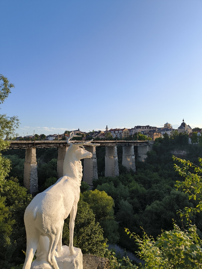 The image depicts an outdoor, sunlit scene in Kamianets-Podilskyi, Ukraine, overlooking the Smotrych River canyon. In the foreground, positioned in the lower-left, is a white, weathered statue of a male deer (stag) with prominent antlers, facing left from the viewer's perspective and appearing to gaze over the canyon. The statue stands on a rough, light-colored base.
In the midground, the Novoplanivskyi Bridge spans the deep, heavily vegetated canyon. The bridge features multiple tall, light-colored stone or concrete support piers topped with a dark-colored metal truss structure that supports a roadway. Traffic barriers and streetlights are visible along the bridge deck. The canyon below the bridge is densely covered with a canopy of green trees and various foliage, extending from the immediate foreground to the base of the city beyond.
On the far side of the canyon, beyond the bridge, the historic skyline of Kamianets-Podilskyi's Old Town is visible. This includes numerous buildings with diverse rooflines, some appearing to be historical structures or churches with distinctive domes and spires.
The sky above is clear and bright blue, indicating daytime conditions. The scene is illuminated by natural sunlight, casting a warm, golden hue on the right side of the deer statue and parts of the city buildings, suggesting late afternoon or early evening light. No individuals are present in the frame.