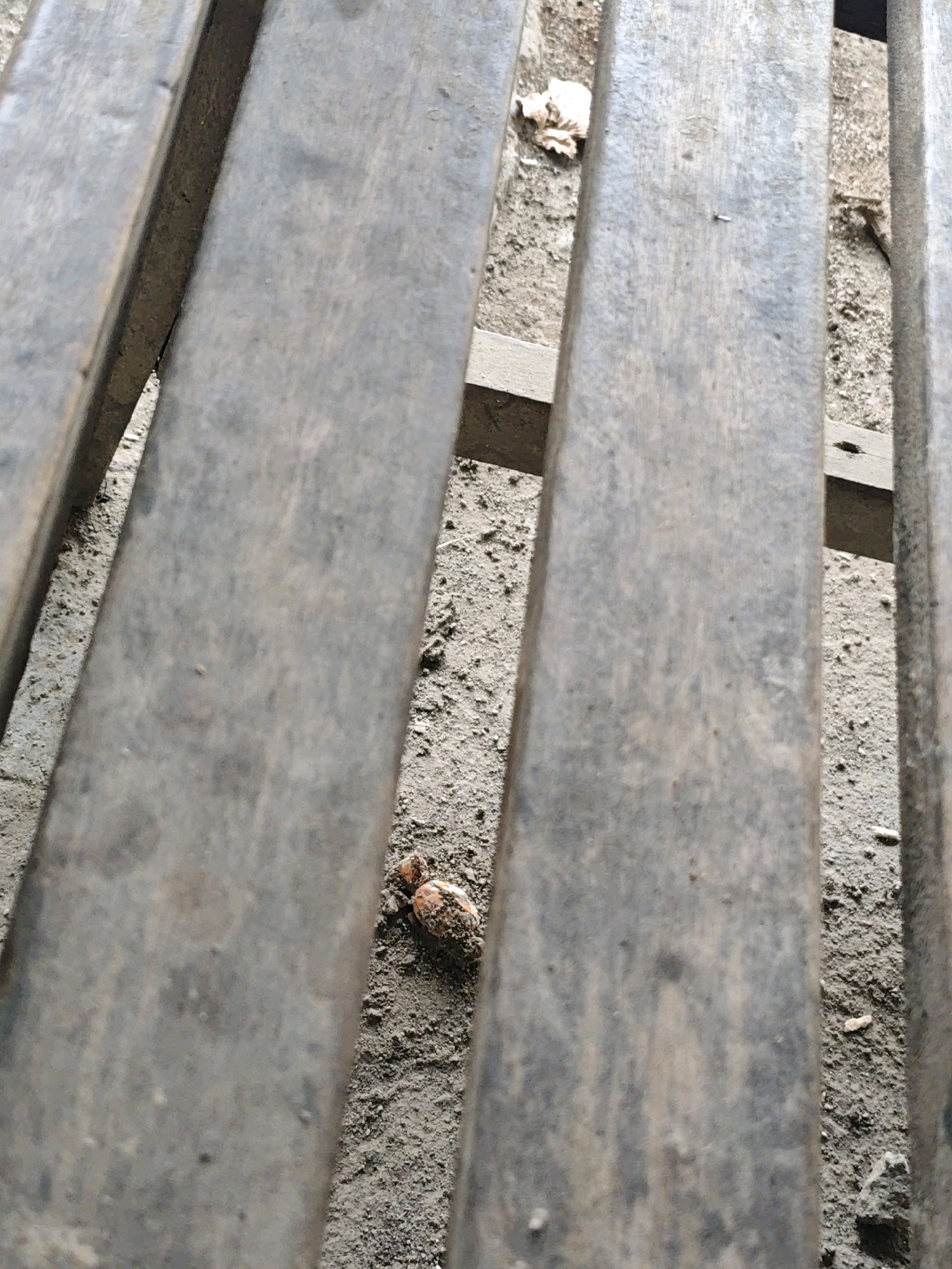 A close-up, eye-level shot shows a section of a wooden slatted bench in Kemuning, Indonesia, with the ground visible between the slats. The bench is made of weathered, dark gray wooden planks that appear to be evenly spaced. The ground beneath the bench is composed of sandy soil with scattered small stones and debris. In the lower central portion of the image, a small object, possibly a discarded cigarette butt or a piece of decaying organic matter, is visible resting on the ground between two of the bench slats. The lighting suggests it is daytime.