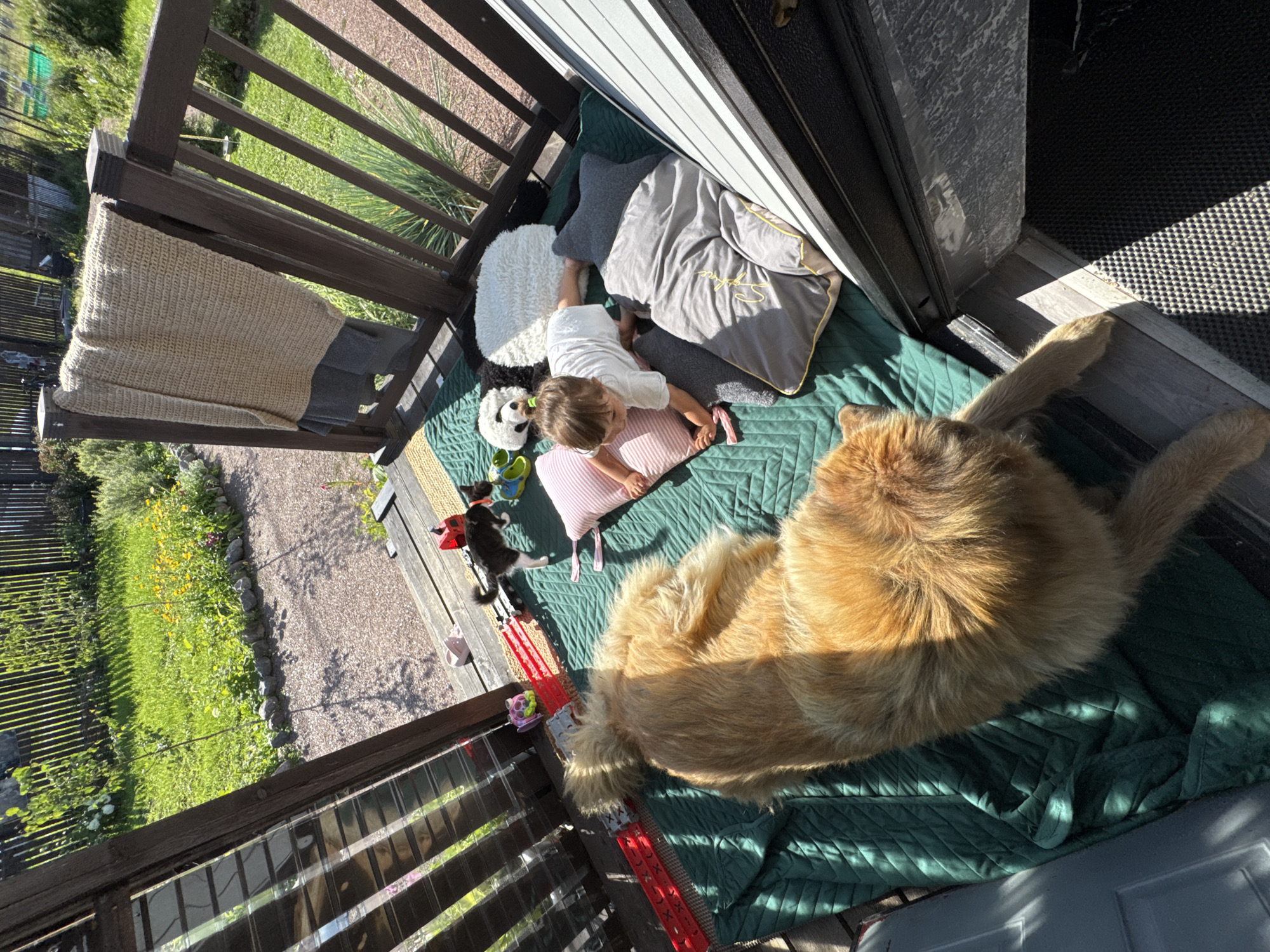 An overhead shot captures a dog and a baby on a wooden deck with a blurred garden and wooden fence in the background. The dog, a golden retriever, is lying on a green quilted mat, its back facing the camera. Beside it, a baby in a white outfit is crawling on a pink pillow, reaching for a grey pillow. Other objects on the deck include a black and white cat, a stuffed panda, and a red toy car. The scene is lit by sunlight, casting shadows on the deck.