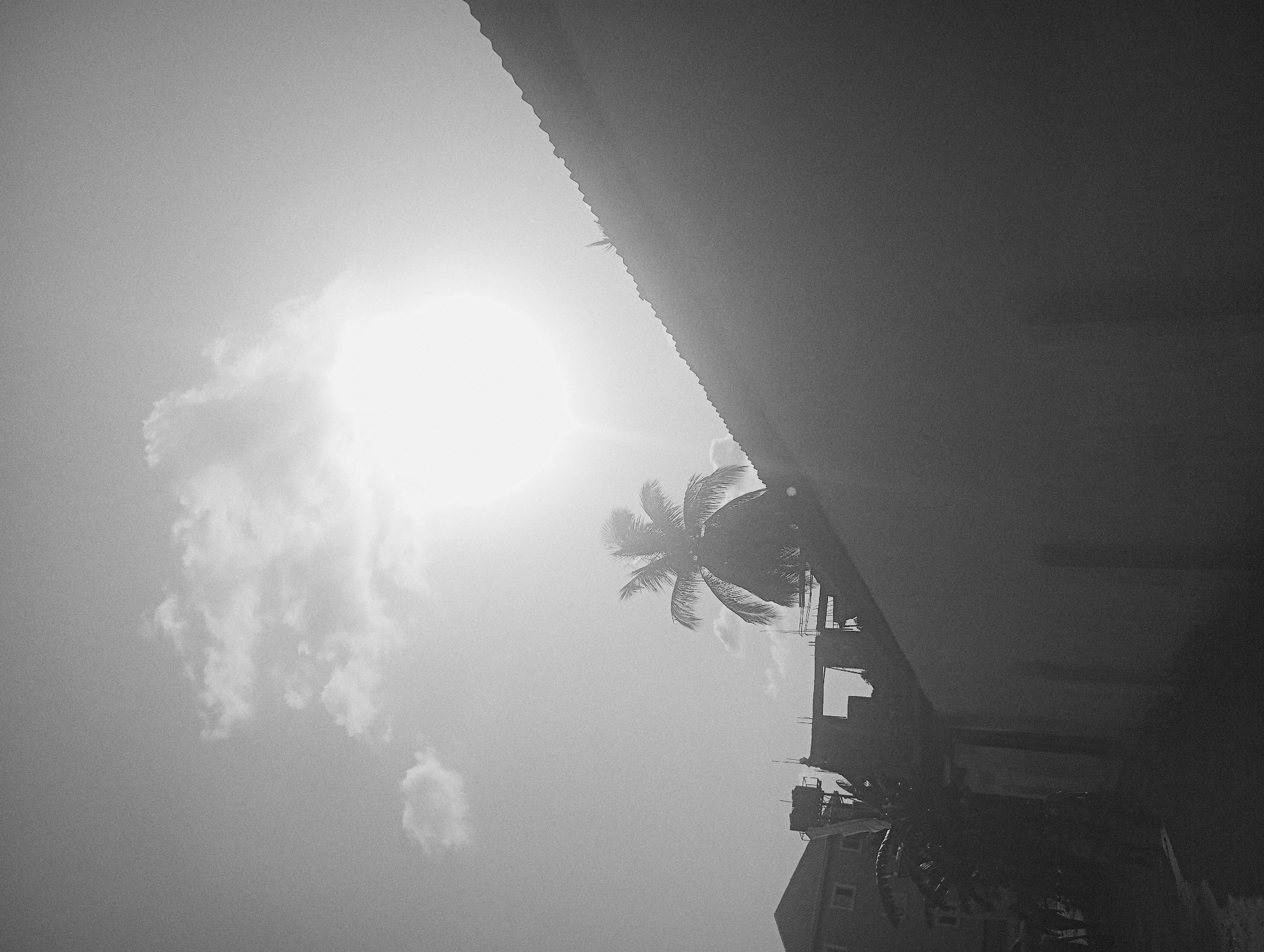 The image, in black and white, depicts a low-angle view capturing elements of a cityscape under a bright, hazy sky. At the top of the frame is part of a building roof. A palm tree is visible, with its fronds silhouetted against the bright sky. Below the palm tree, structures appear to be buildings, including water tanks, hinting at urban or suburban infrastructure. Clouds are scattered across the sky, partially obscuring the sun. The overall composition suggests the location is in an area with a tropical climate, potentially within Nkpor, Nigeria. No people are visible in the frame.