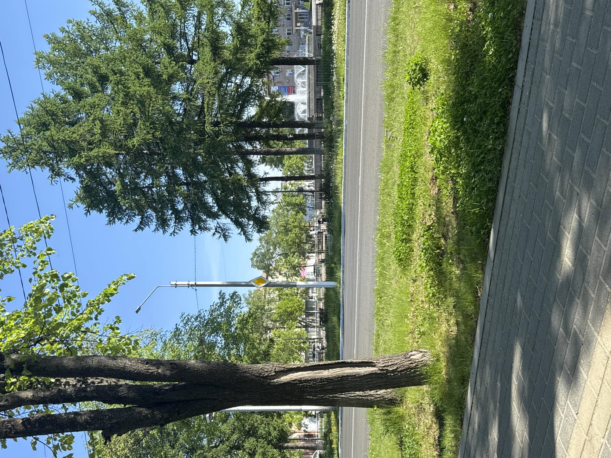 The image shows a street scene in Chaikovsky, Russia. A road with white lane markings runs parallel to a tree-lined sidewalk. Along the road, there are tall evergreen trees and other deciduous trees. In the background, a fountain can be seen between the trees. A street light and a yellow road sign are also visible. The sidewalk is paved with gray rectangular blocks and is bordered by a patch of grass. The sky is blue and clear. The image appears to be taken during the daytime.