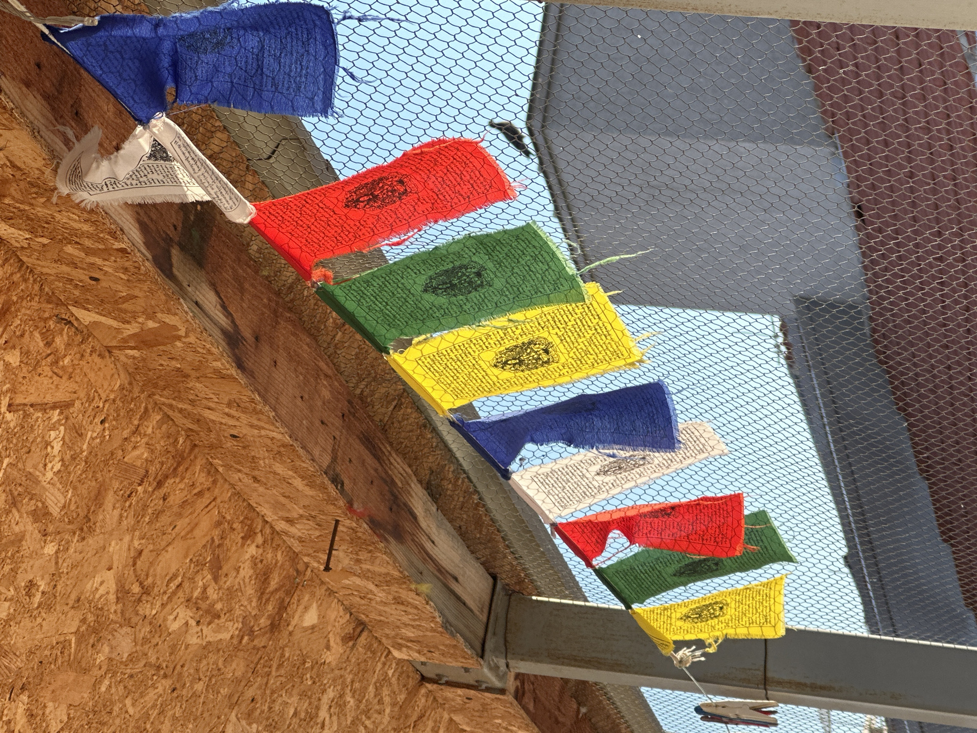 In Budva, Montenegro, a string of colorful prayer flags, predominantly blue, white, green, and red, is strung across an outdoor space. The flags are tattered and bear printed symbols and text. They are attached to a wire suspended from an unfinished wooden ceiling structure supported by a metal beam and a concrete pillar. A hexagonal wire mesh fence stretches across the midground, obscuring buildings and the sky. A small bird is visible on the fence. A red and white clothespin is attached to the wire on the left side of the frame. The scene appears to be in a partially constructed or outdoor area.