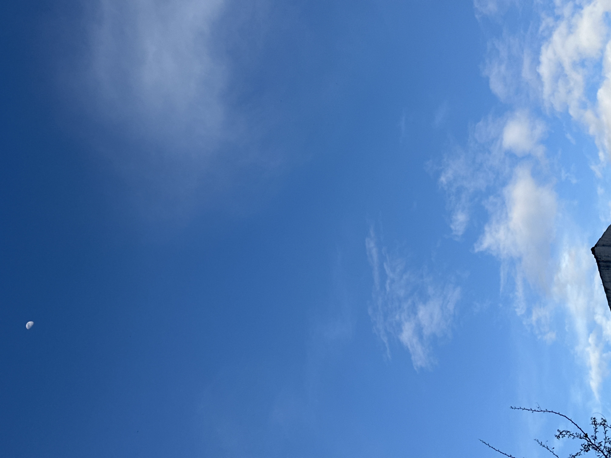 The image captures a daytime sky view from Budva, Montenegro. The scene is dominated by a clear, bright blue sky. A white, waxing crescent moon is distinctly visible in the upper left quadrant. Scattered clouds are present, ranging from wispy, translucent formations in the upper right to more defined cumulus clouds in the lower and mid-sections of the frame. In the lower left foreground, a section of dark, bare tree branches with small buds is visible. The lower right foreground shows the dark, angled silhouette of a building's rooftop, displaying a textured or possibly aged surface. No people, animals, or active events are depicted.