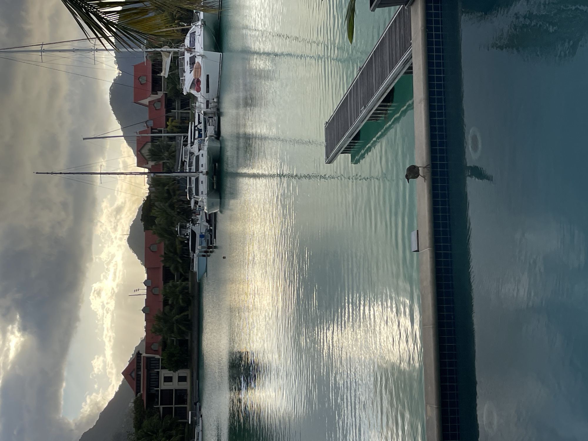 The image depicts a harbor scene in Beau Vallon, Mahé, Seychelles, at what appears to be dusk. The water is a tranquil turquoise, reflecting the overcast sky and the surrounding buildings and boats. In the foreground, a swimming pool with dark blue water takes up the bottom portion of the frame. A stone ledge separates the pool from a concrete walkway that borders the harbor. A small bird with brown and grey plumage stands on this ledge, facing left.
Beyond the walkway, a wooden pier extends into the water, with several yachts and catamarans docked alongside it. The boats are primarily white, with tall masts and sleek designs. In the background, a cluster of buildings with distinctive red-tiled roofs lines the shore, backed by lush green hills and mountains under a dramatic, cloud-filled sky. The sunlight filters through the clouds in some areas, creating a soft, diffused light. The overall atmosphere is serene and picturesque, characteristic of a tropical resort setting.