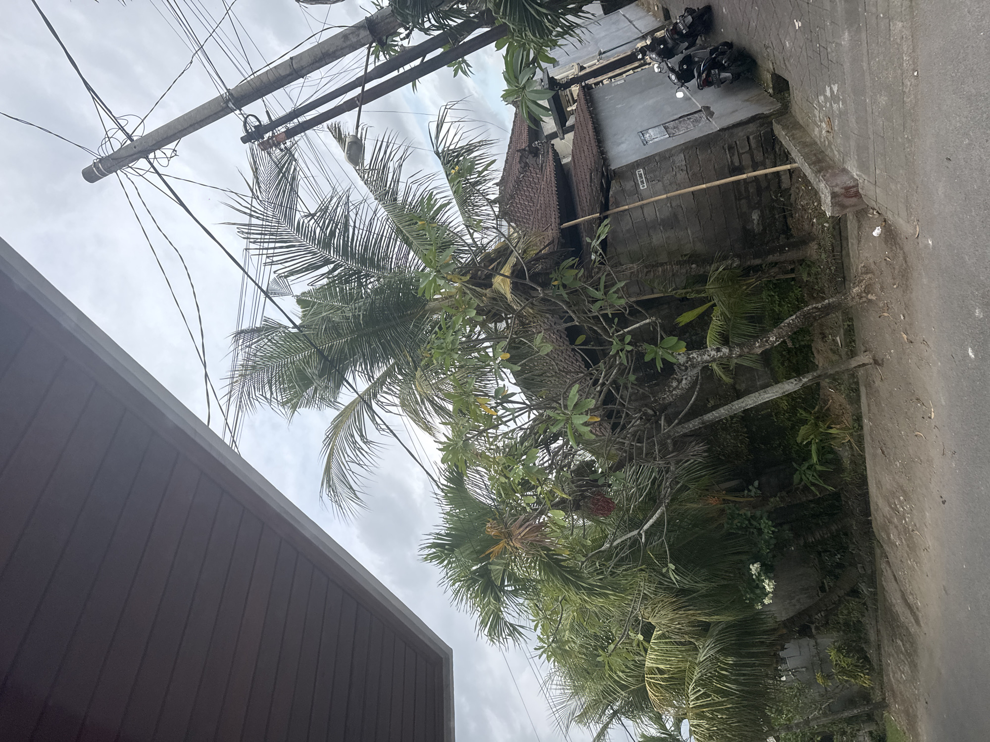 The image shows a street scene in Munggu, Indonesia. A tall coconut palm tree dominates the view, its fronds reaching towards a cloudy sky. Power lines are strung across the frame, attached to a utility pole. A brown building is visible on the left, while a grey wall and tiled roof can be seen on the right. Two motorcycles are parked against the wall. A section of paved road borders the right side of the image. Vegetation, including other trees and plants, fills the spaces between the buildings and the road.