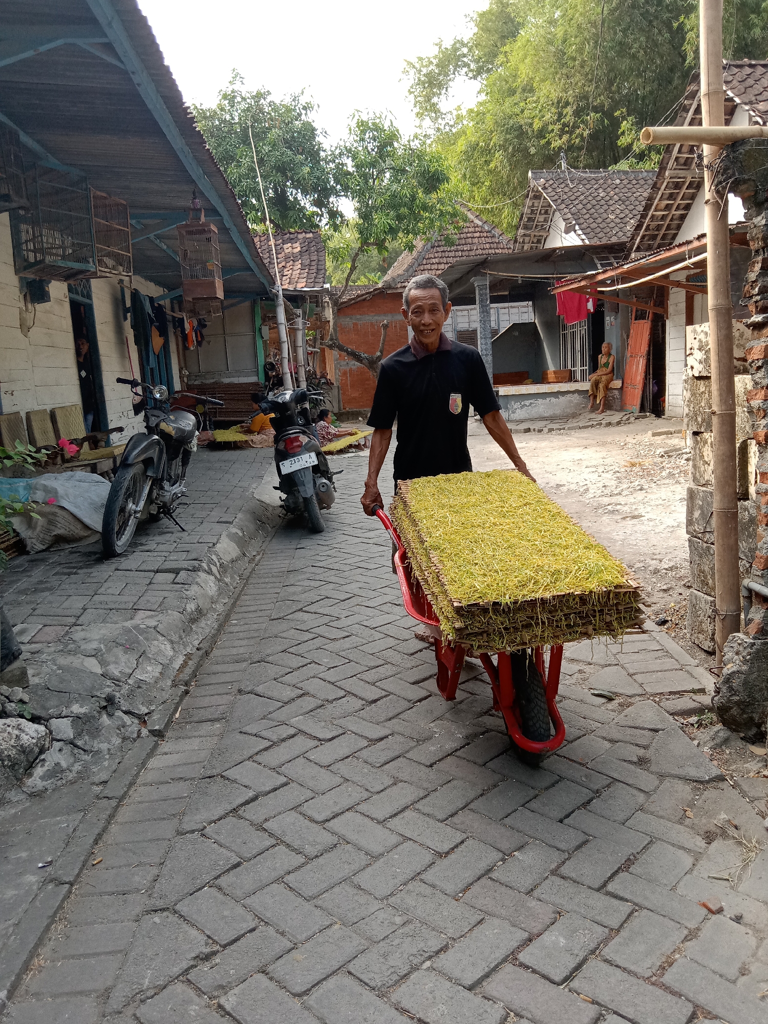 A man in a black polo shirt with a patch on the left chest is pushing a red wheelbarrow loaded with stacks of what appears to be dried tobacco leaves on woven mats. He is walking on a paved alleyway in what is identified as the city of Jumput, Indonesia. The alley is lined with traditional Indonesian houses with tiled roofs. To the left, there are two motorcycles parked, one black and one with a license plate that reads "S 2315 A". Bird cages are hanging under the eaves of one of the buildings. In the background, foliage and trees are visible. The man is smiling as he pushes the wheelbarrow. An elderly person is sitting on a stoop in the background. The scene depicts everyday life in a rural Indonesian community.