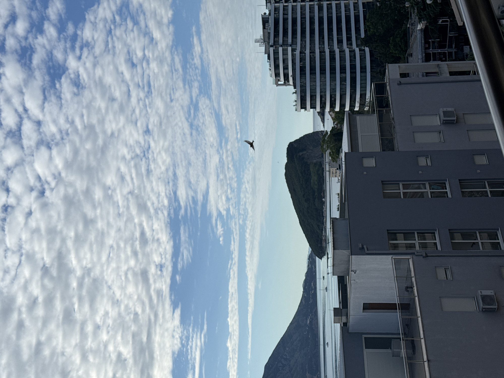The image presents an elevated, wide-angle view of the coastal area of Budva, Montenegro. The scene is dominated by a partly cloudy sky, a body of water, distant landmasses, and contemporary urban architecture in the foreground.
The upper half of the image features a light blue sky largely covered by numerous white and light grey altocumulus clouds, presenting a rippled or patchy texture. A single dark bird is visible in flight in the upper-right portion of the sky, silhouetted against the clouds.
The mid-ground displays an expanse of calm, light blue-grey water, identified as the Adriatic Sea. Several white sailboats are sparsely anchored or moving across this water. A prominent, dark green, rocky island, known as Sveti Nikola Island (Hawaii), is situated in the central-left area of the sea, characterized by dense vegetation. To the far left, a large, dark green mountain range descends towards the water. The coastline extends into the distance on the right, showing further land and smaller structures.
The foreground is occupied by modern, multi-story buildings. On the left, a grey-painted building features multiple windows, some equipped with closed external rolling shutters. An exterior air conditioning unit is mounted on one wall. Its flat rooftop includes a small white utility structure and a metal and glass railing. To the right, a larger, contemporary building with a curved façade displays multiple levels of alternating dark glass windows and distinct white horizontal bands, likely balconies. A dark metallic railing, presumably from the vantage point of the photographer, spans the very bottom edge of the frame.
The scene is illuminated by natural daylight, casting soft light without harsh shadows, consistent with either early morning or late afternoon conditions. No individuals or explicit human activities are visible within the frame.