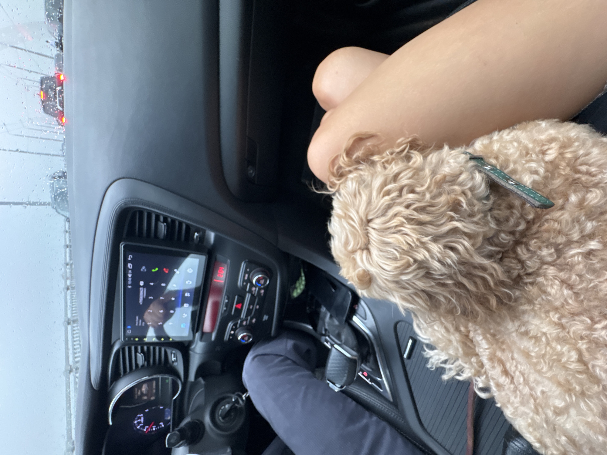 This media file shows the interior of a car, likely in Saratov, Russia, with a person and a dog visible. The driver's side dashboard and a central infotainment screen are prominent. The screen displays a phone interface with icons for calls and contacts. The weather outside appears to be rainy, as evidenced by water droplets on the windshield. Cars with their red brake lights on are visible through the windshield, suggesting the vehicle is in traffic. The lighting suggests it is daytime, possibly overcast due to the weather. The dog, a light brown poodle or similar breed, is resting its head on the person's arm, implying a relaxed and comfortable atmosphere. The person's legs are also visible, indicating they are likely the driver or a passenger in the front seat. The overall scene suggests a mundane commute or travel experience, with the presence of the dog adding a touch of companionship to the journey.
