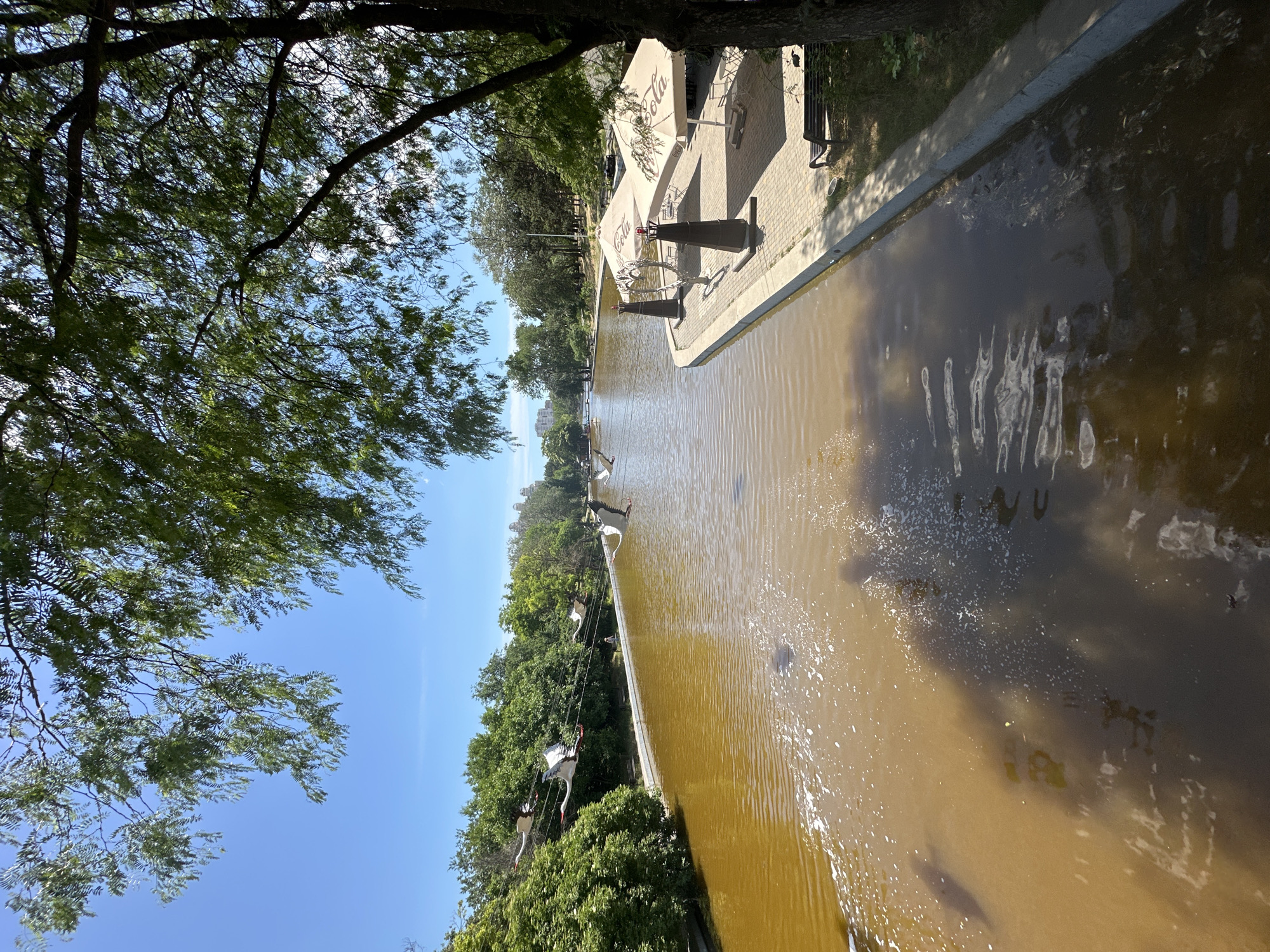 This is a slightly tilted, eye-level, long shot of a canal with several artistic sculptures of storks along its edge. The storks are positioned as if in mid-flight or standing. The canal water is a murky brown color, with ripples and some small white splashes on the surface.
To the left of the canal, there is a paved walkway with several large white umbrellas and some seating areas. One umbrella displays the text "Cola" in red lettering. Beyond the walkway, there is a dense green tree with dappled sunlight filtering through its leaves, obscuring the clear blue sky.
Further in the background, more trees and some buildings can be seen. The overall setting appears to be an outdoor public space, possibly a park or a plaza, on a sunny day, likely late morning or early afternoon given the bright sunlight and clear sky. There are no people clearly visible in the frame, though there may be some indistinct figures on the walkway in the distance. The image has a serene and natural ambiance. The location is Odesa, Ukraine.