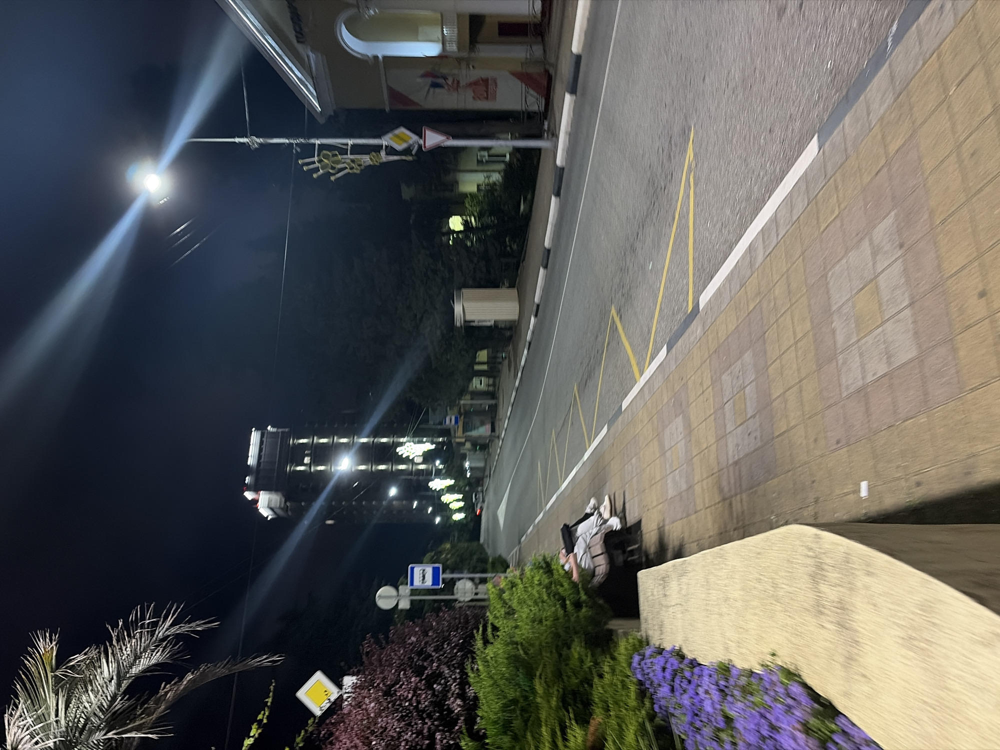 The photograph captures a night scene on a street in Sochi, Russia, likely near the coast given the presence of a palm tree on the left. A dark road stretches into the distance, illuminated by streetlights and the lights of a tall, illuminated building in the background. On the right side of the road, a building with classical architectural elements is visible, adorned with a large banner. A sidewalk runs along the road, paved with rectangular tiles. A bench is situated on the sidewalk, occupied by two individuals. One person is sitting with their legs extended, while the other is leaning back. Greenery, including bushes and purple flowers, lines the edge of the sidewalk. Road markings, including a bus stop symbol and traffic signs, are present. The overall atmosphere is that of a quiet urban street at night.