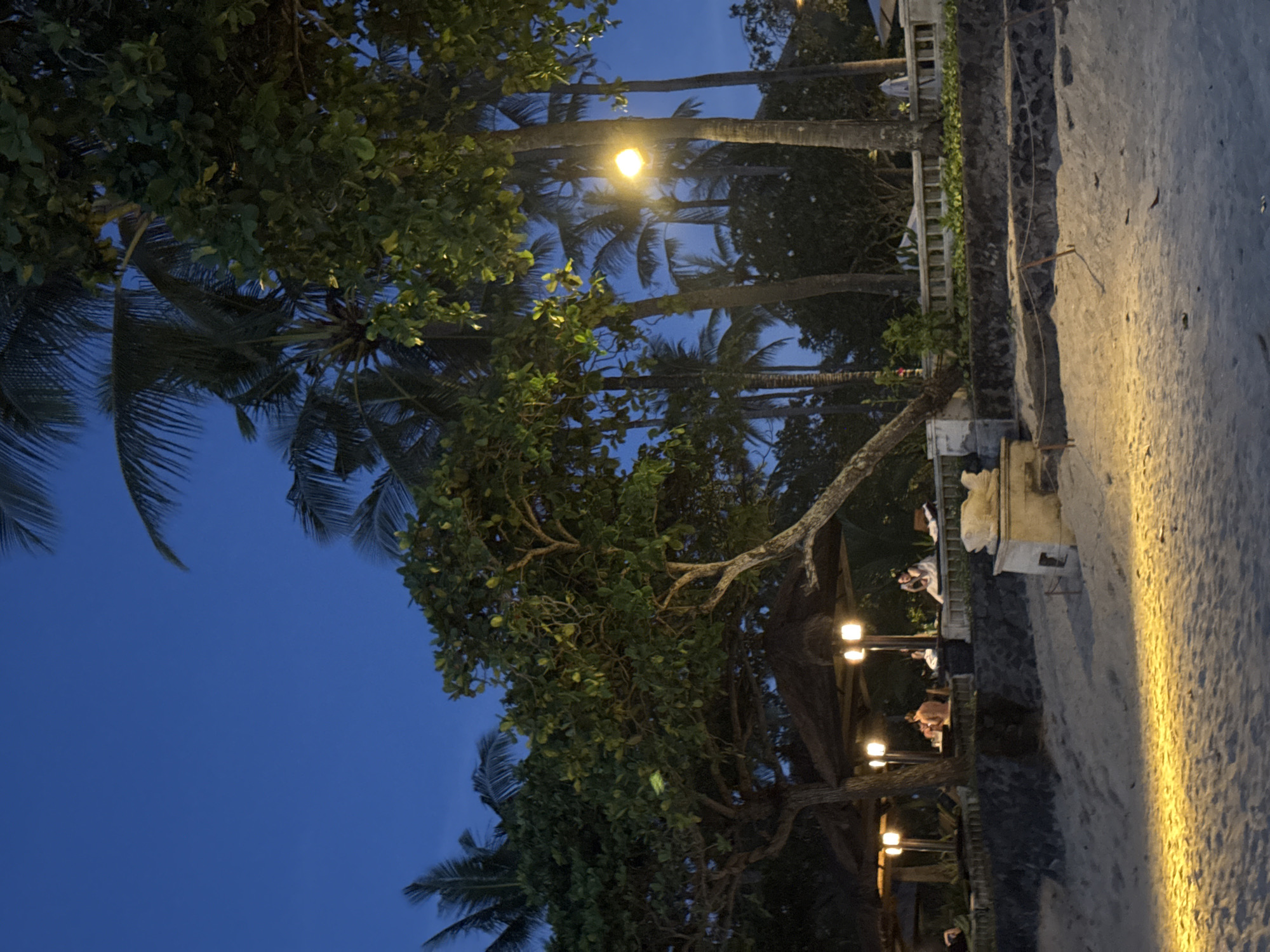 The image depicts a serene outdoor tropical setting at dusk or early evening, likely in Kuta Selatan, Indonesia. The deep blue twilight sky fills the upper portion of the frame. Lush vegetation, including numerous tall palm trees with their distinctive fronds and other dense-leafed trees, forms a rich canopy across much of the scene.
Artificial lighting illuminates key areas, creating a warm ambiance. A bright street lamp emanates a strong glow from the upper-middle left, while a series of smaller, warm-toned lights highlight an outdoor dining or lounge area on the right side. Several indistinct figures are visible seated at tables in this area, suggesting people are dining, socializing, or relaxing. Adjacent to these seating arrangements, architectural elements like white railings or walls and a small, light-colored, possibly carved animal sculpture on a pedestal can be seen.
The ground in the right foreground appears to be a brightly lit sandy or paved surface, transitioning to darker, more rugged terrain near the trees. The overall atmosphere is peaceful and inviting, characteristic of a tropical resort or a similar leisure spot. No discernible text is visible in the image.