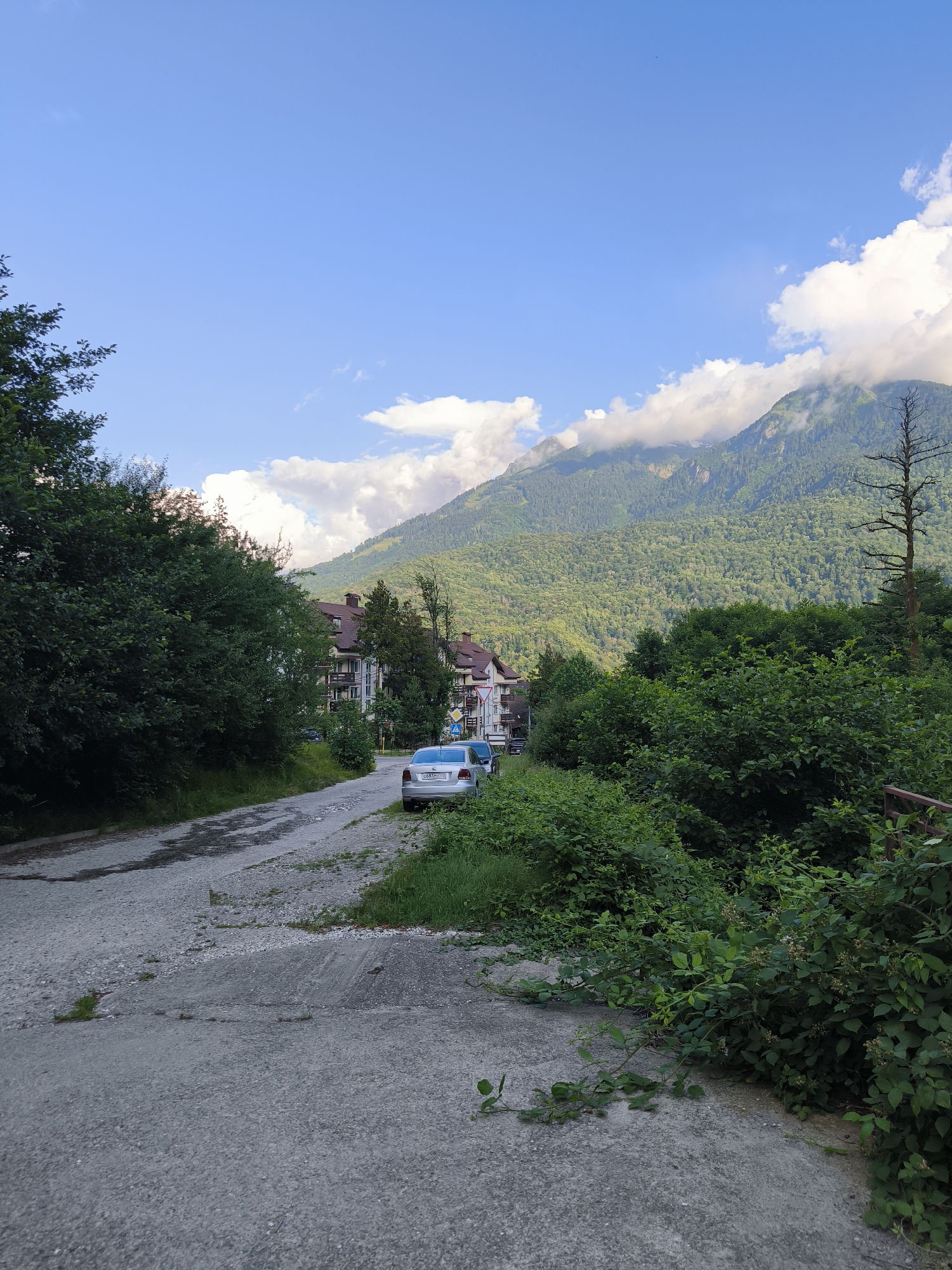 The image depicts a rural mountain road in Krasnaya Polyana, Russia, likely during the daytime given the bright sky. The road itself is a mix of gravel and cracked asphalt, winding uphill through dense greenery. On the left side of the road, lush trees and bushes dominate the foreground, with a few buildings visible further up the incline. These buildings appear to be multi-story structures with brown roofs, characteristic of a resort or residential area.
A silver sedan is parked on the right side of the road, facing uphill. Beyond the immediate roadside vegetation, a dense forest covers the lower slopes of the majestic mountains that form the backdrop of the scene. These mountains are partially shrouded in white clouds, suggesting a cool or humid climate. The sky above is a clear blue, punctuated by scattered white clouds. A tall, bare tree stands out against the forested mountain to the right, adding a stark contrast to the vibrant green foliage. The overall impression is one of a serene mountain landscape integrated with human settlement.