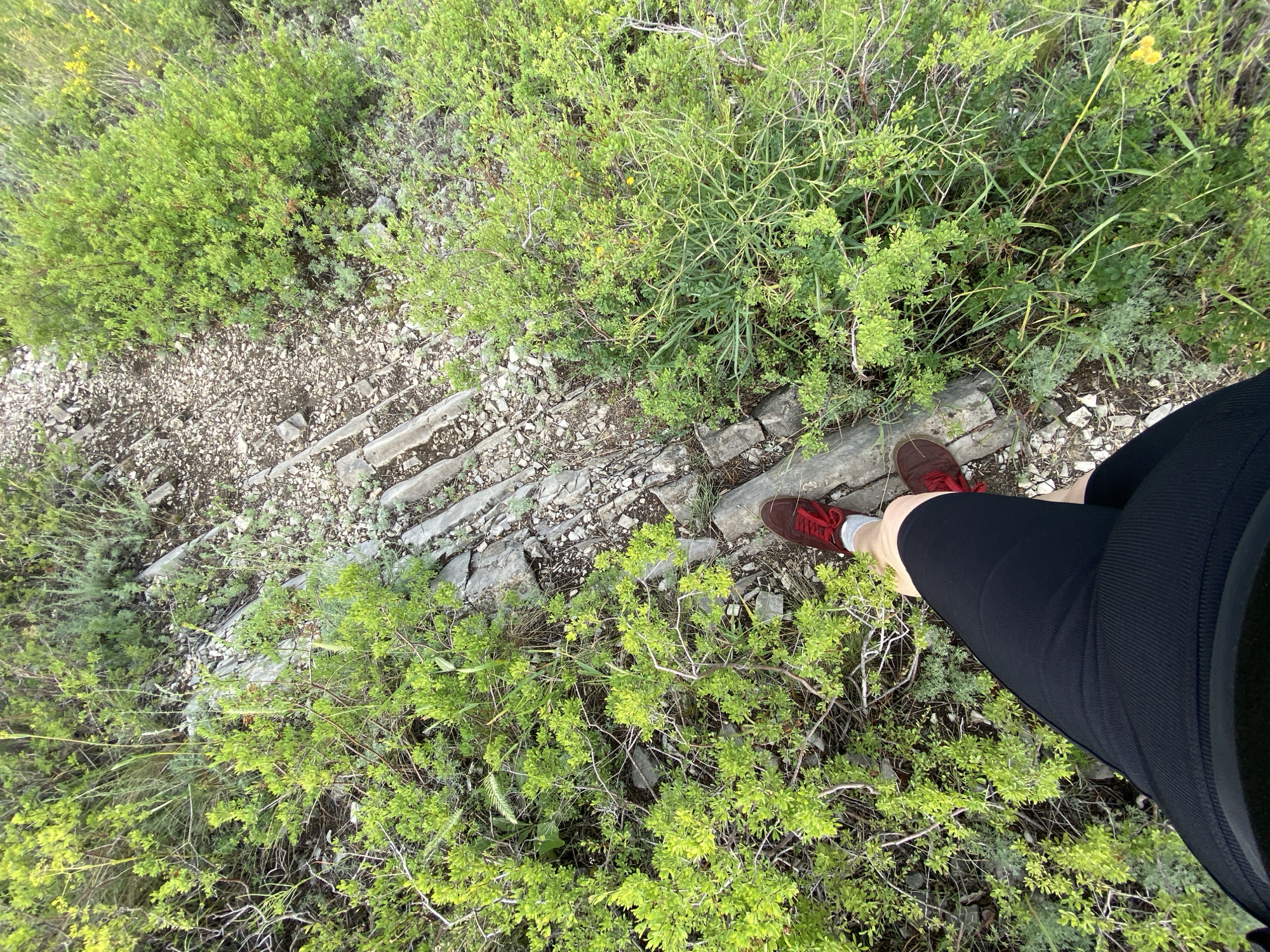 This image depicts a high-angle shot of a person's legs and feet standing on a rocky, uneven trail surrounded by lush green vegetation. The person is wearing black athletic shorts and dark red athletic shoes with white socks. The trail appears to be made of small stones and larger flat rocks, with some areas showing evidence of erosion or foot traffic. The surrounding area is dense with various types of green plants, including bushes with small leaves and taller, thinner stalks of grass. Some small yellow flowers are visible within the foliage. The overall scene suggests an outdoor, natural environment, possibly a hiking trail. No specific landmarks or contextual clues are present to place this image within the city of Verkhnyaya Chernorechka, Russia.